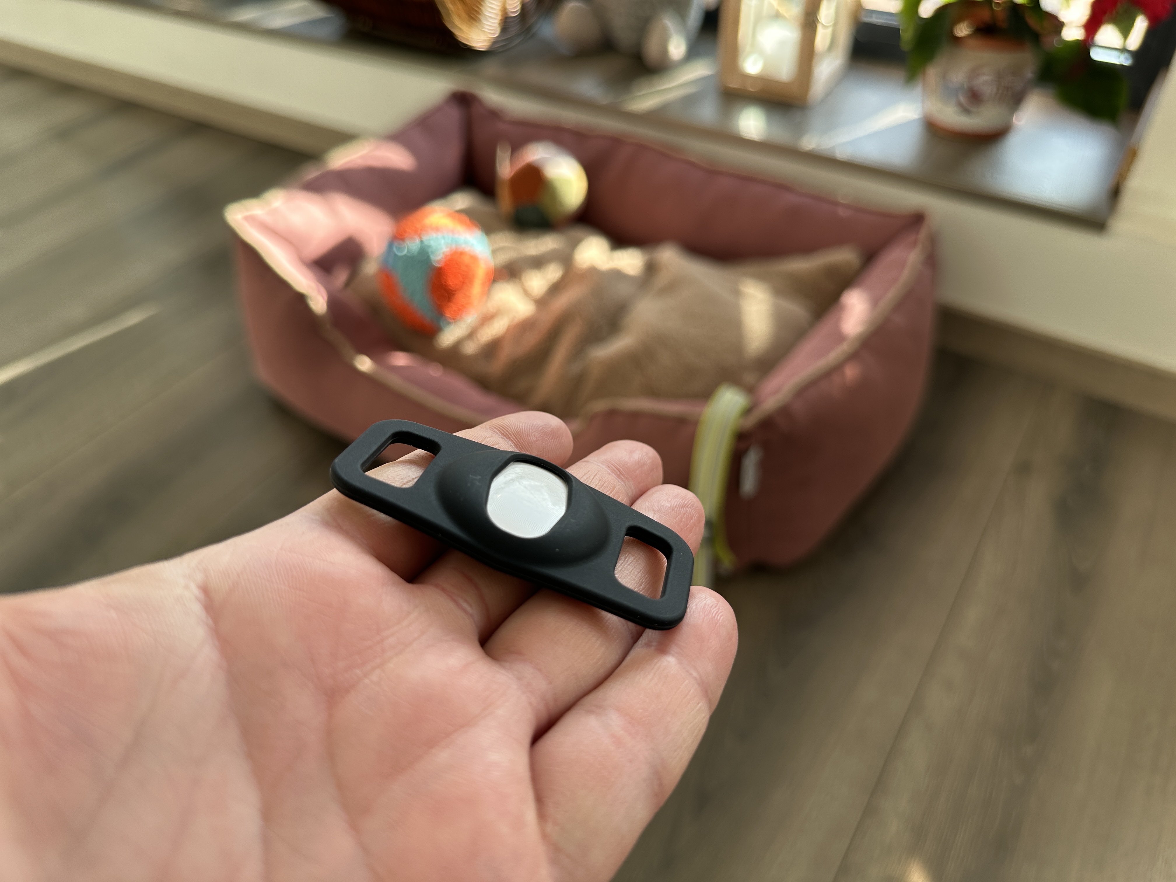 hand holding dog tag with airtag