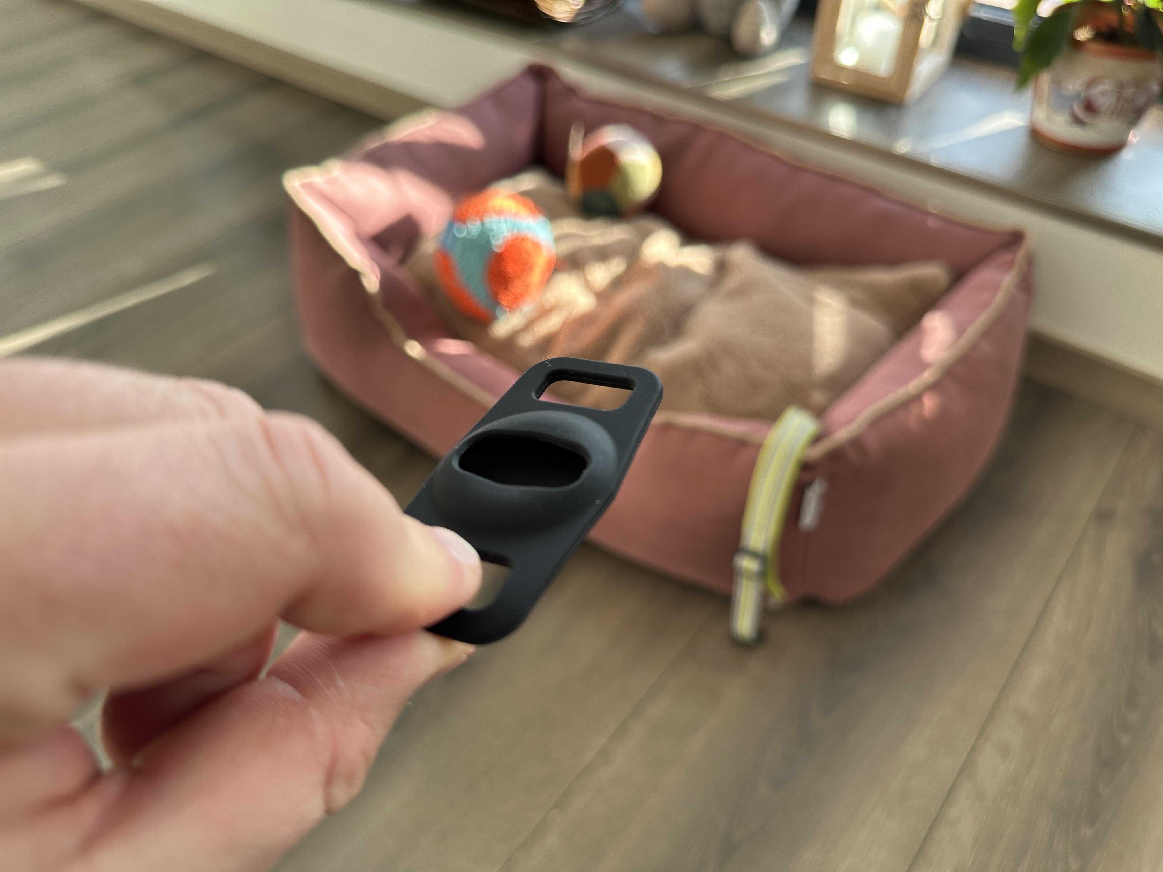 hand holding dog tag