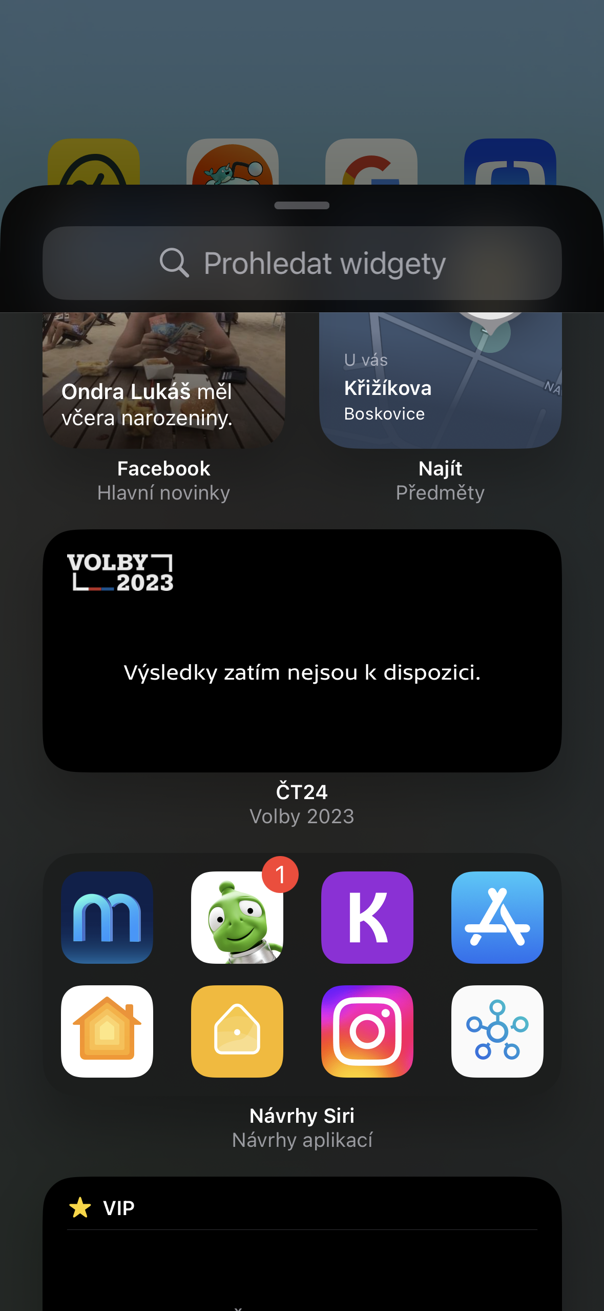widget search screen