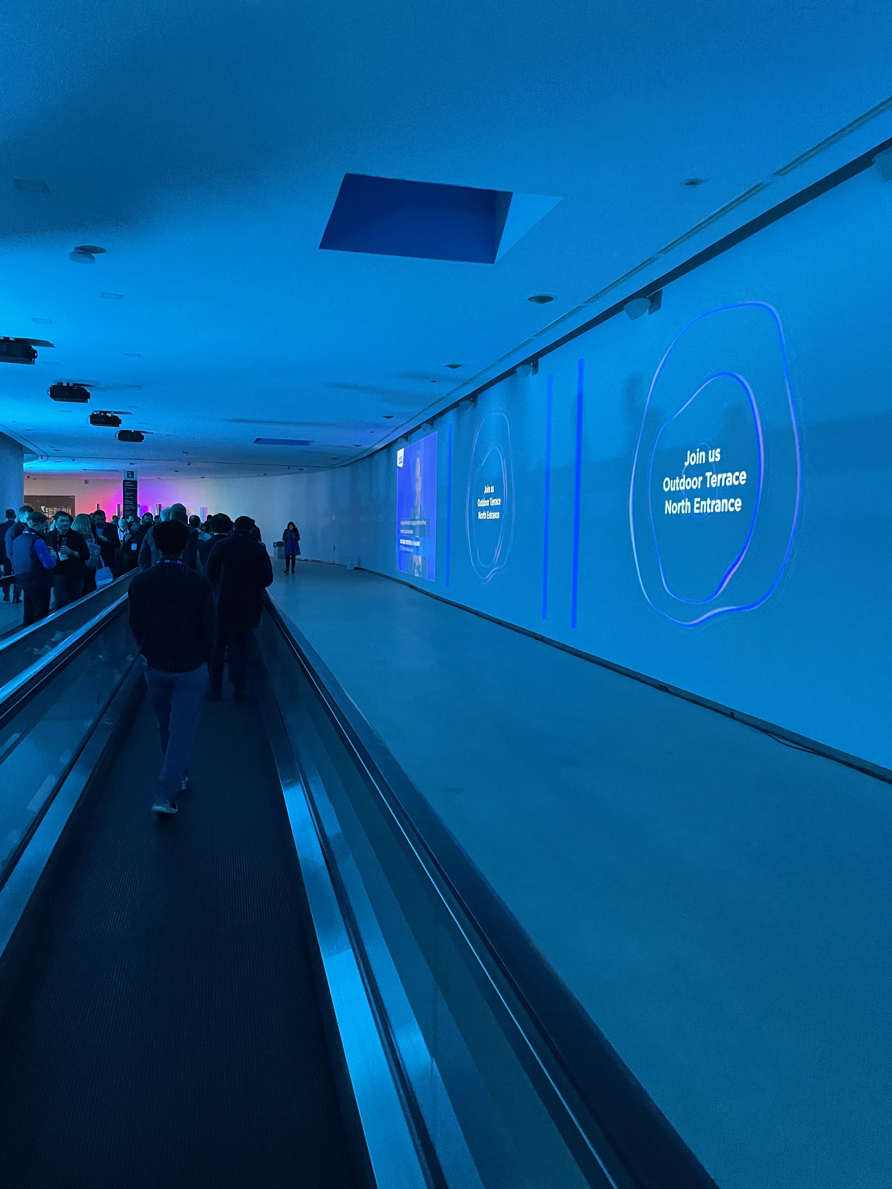 blue lit walkway exhibit blue lit walkway exhibit