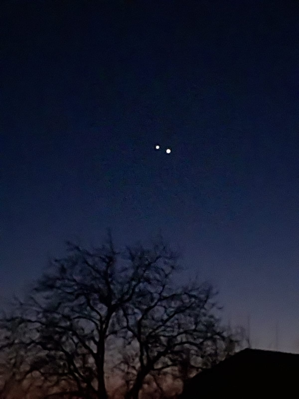 tree silhouette night sky