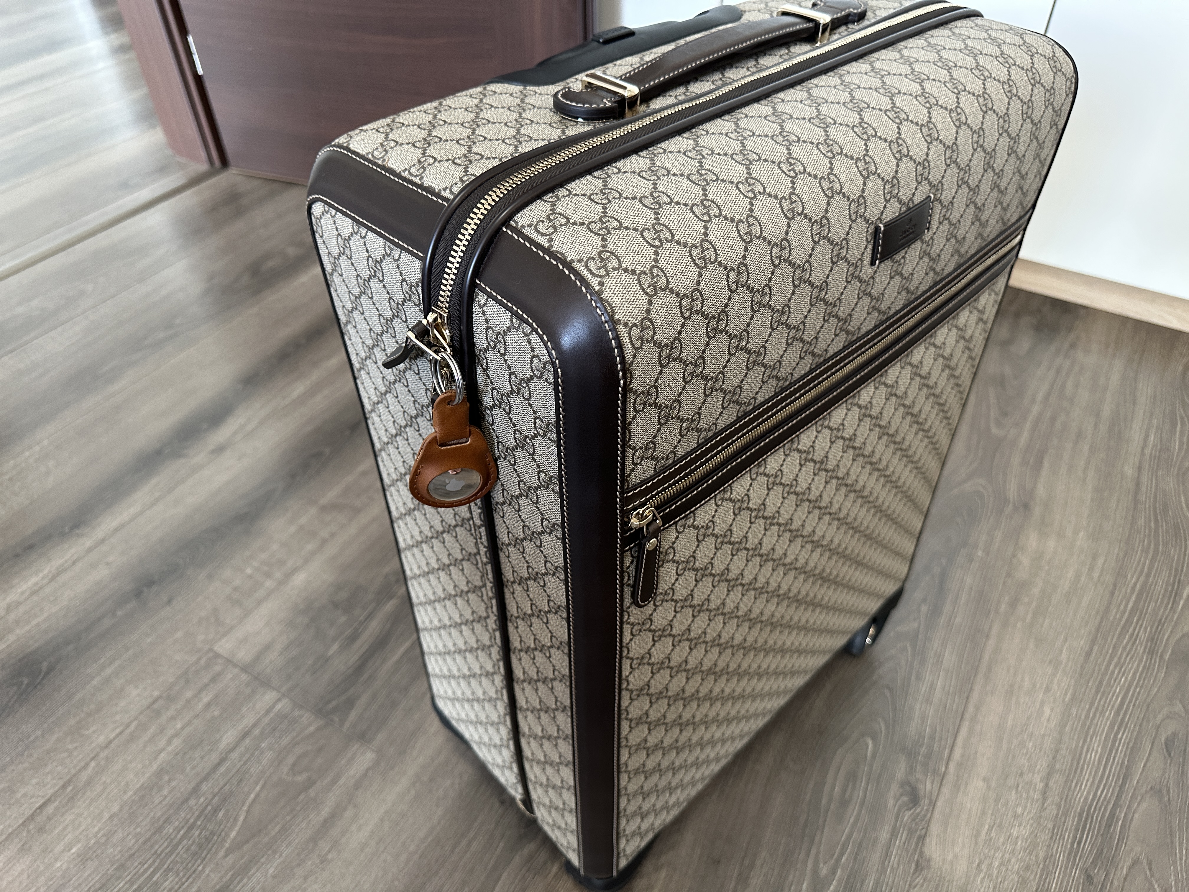 designer luggage closeup