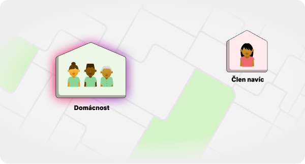 netflix household member diagram