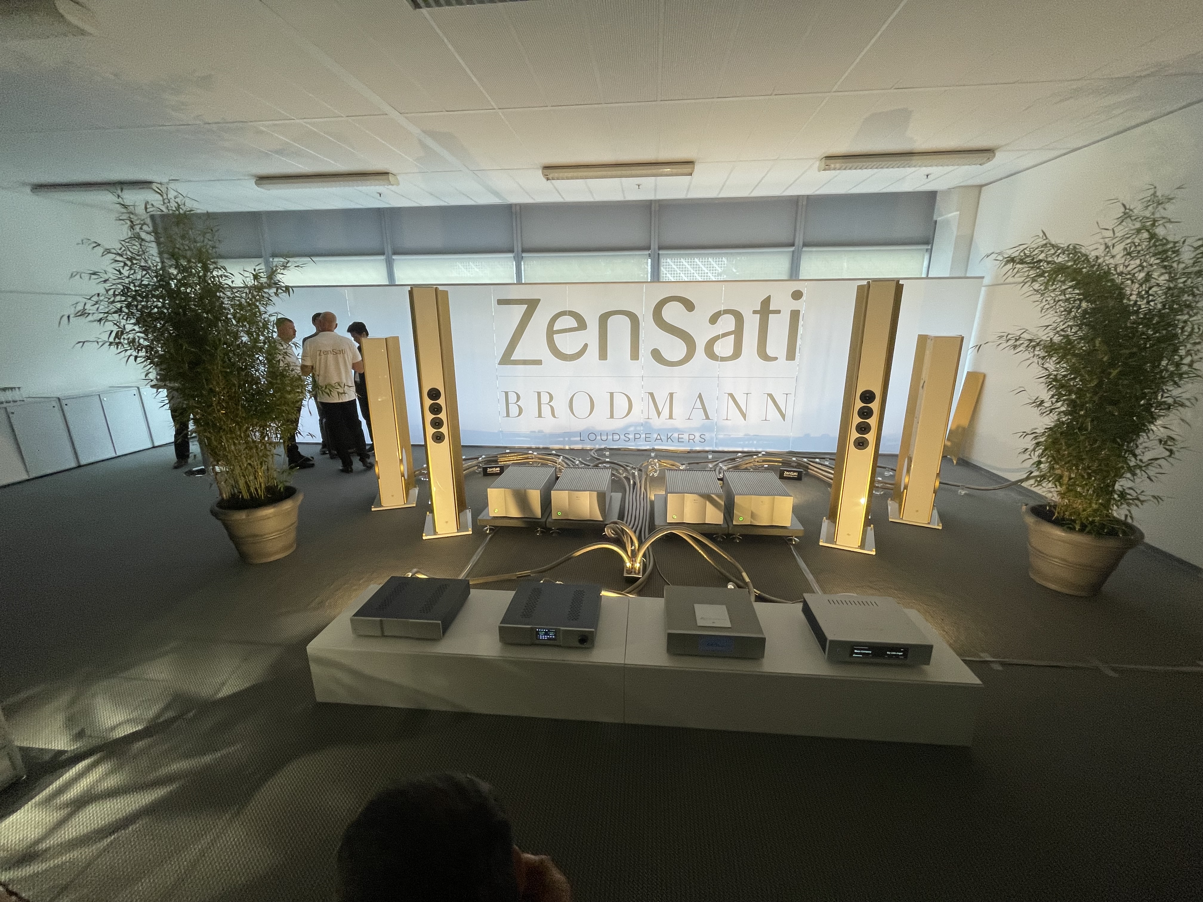 zensati brodmann exhibition