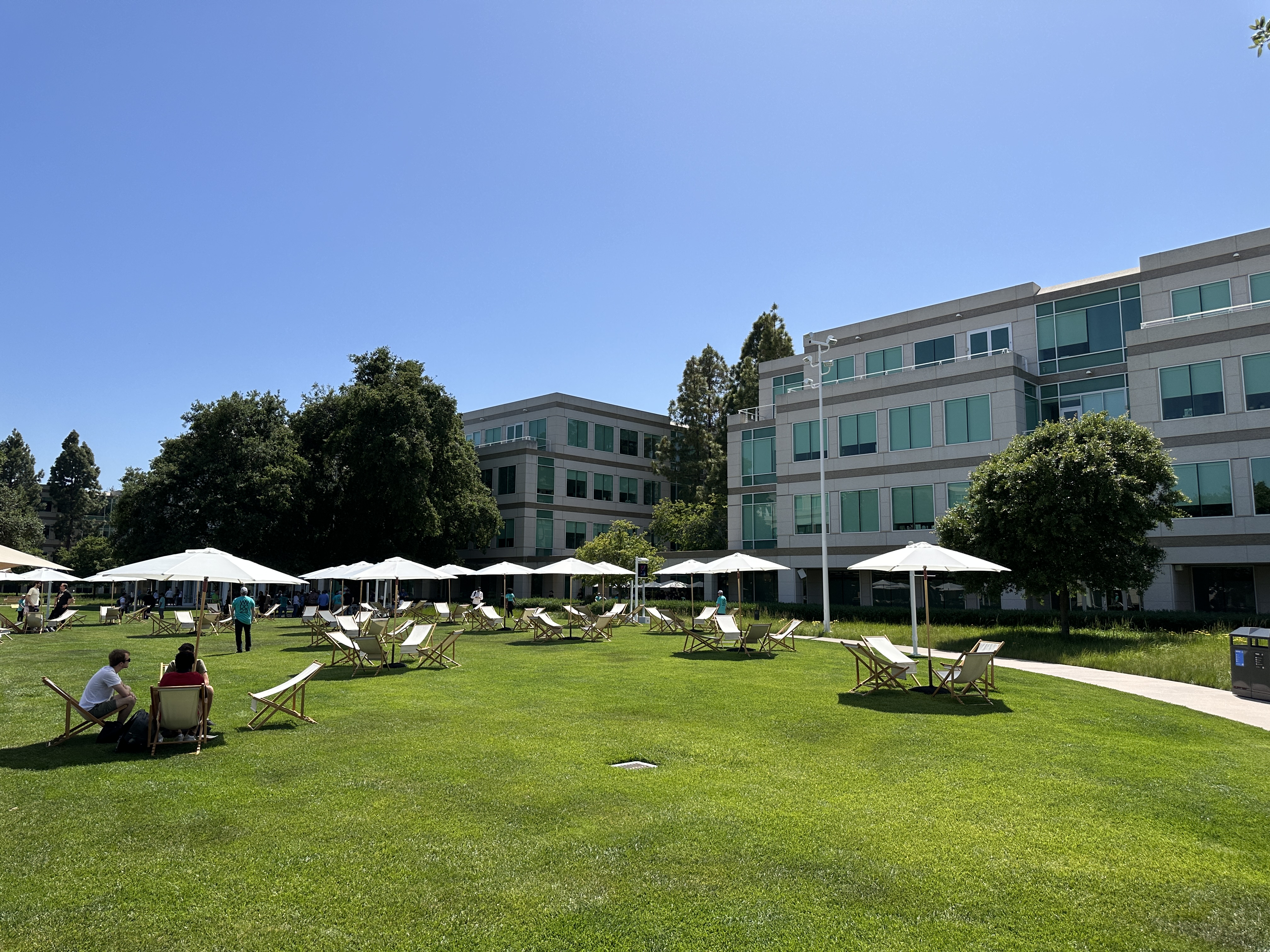 apple campus lawn chairs