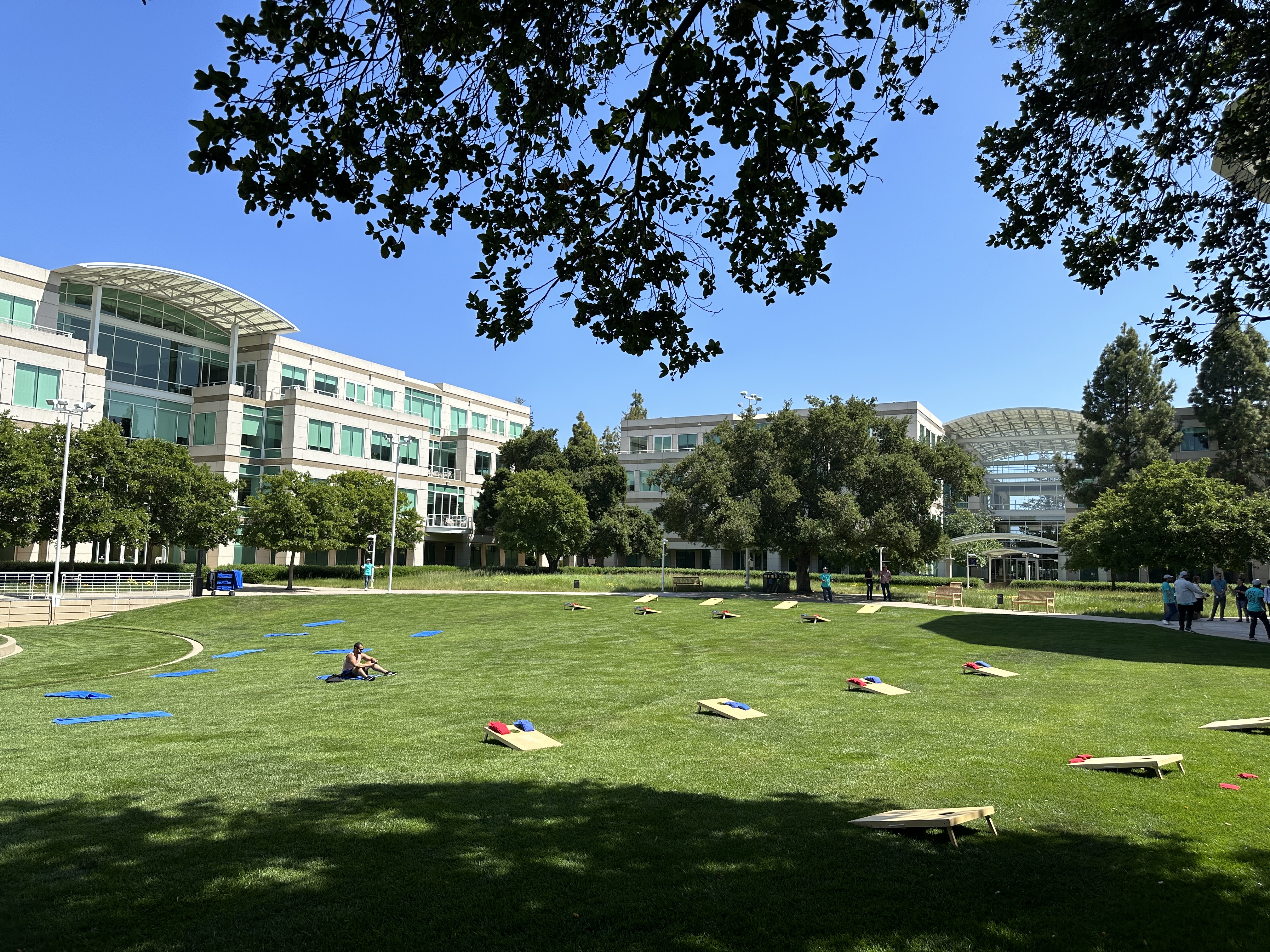apple campus lawn games