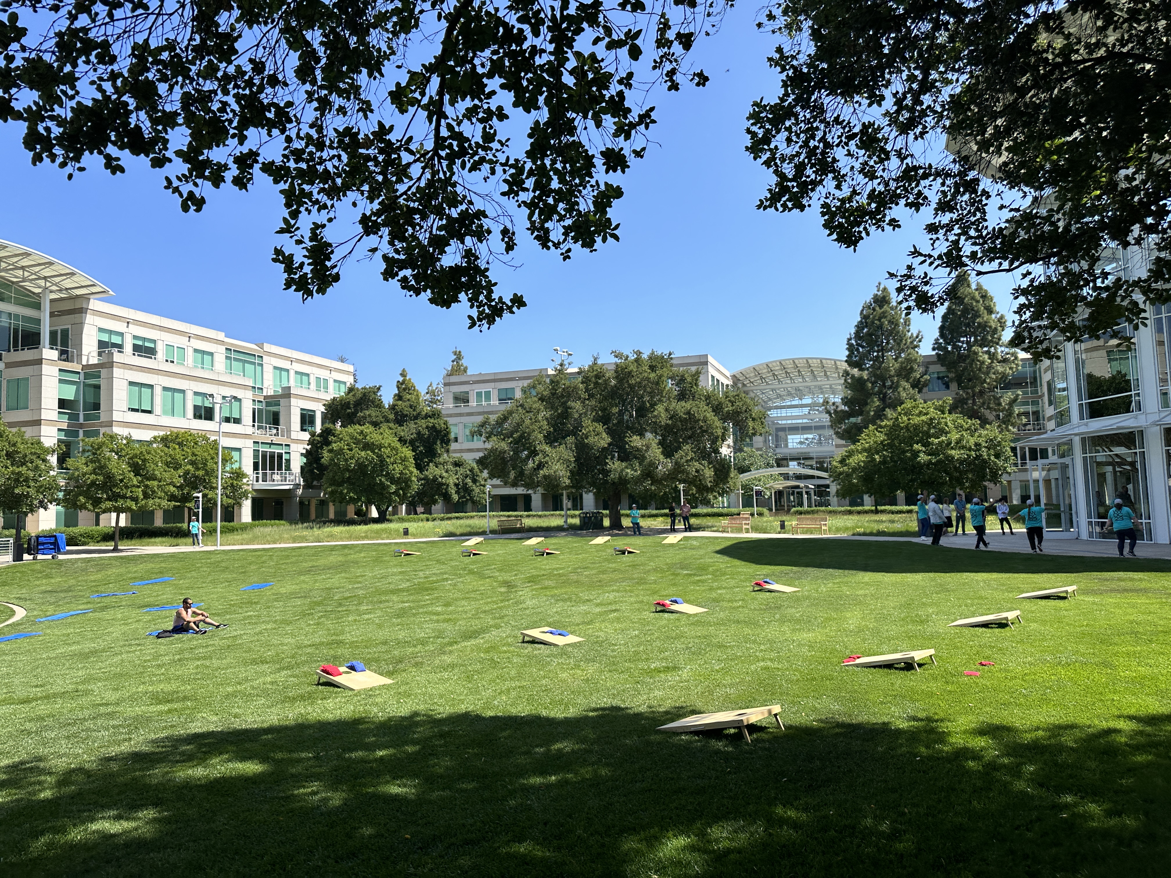 apple campus lawn view