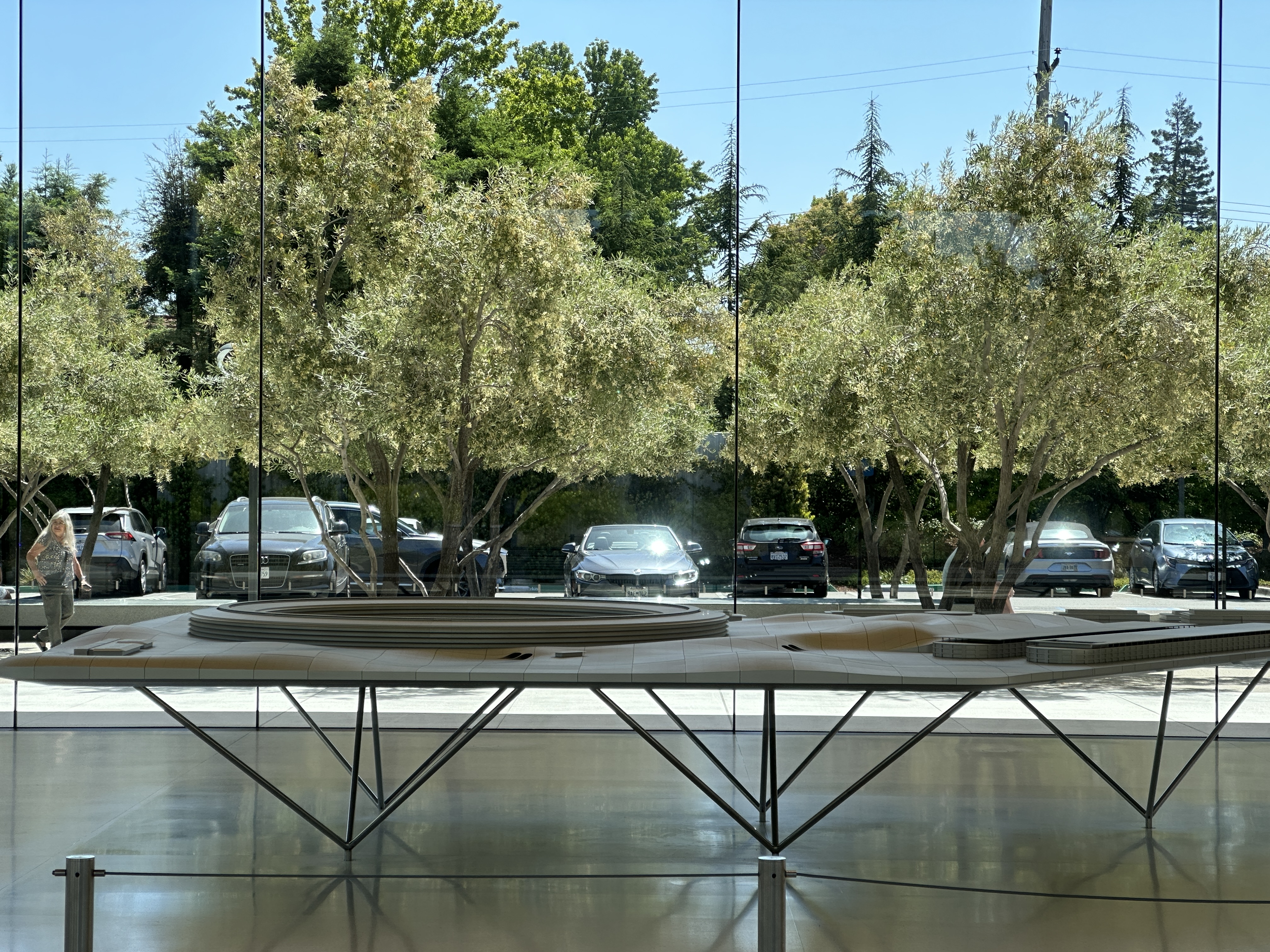 architectural model with trees