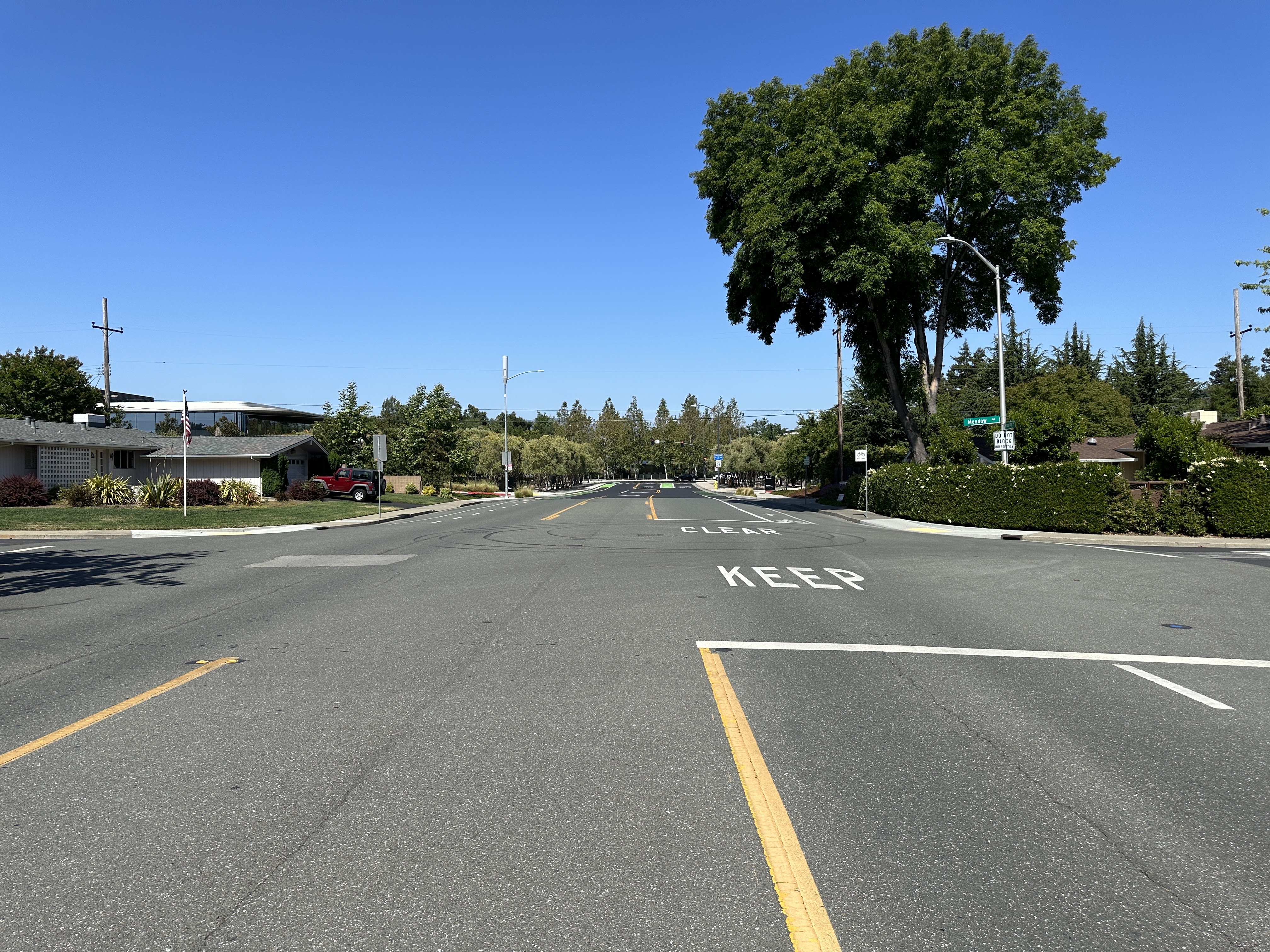 empty road with trees