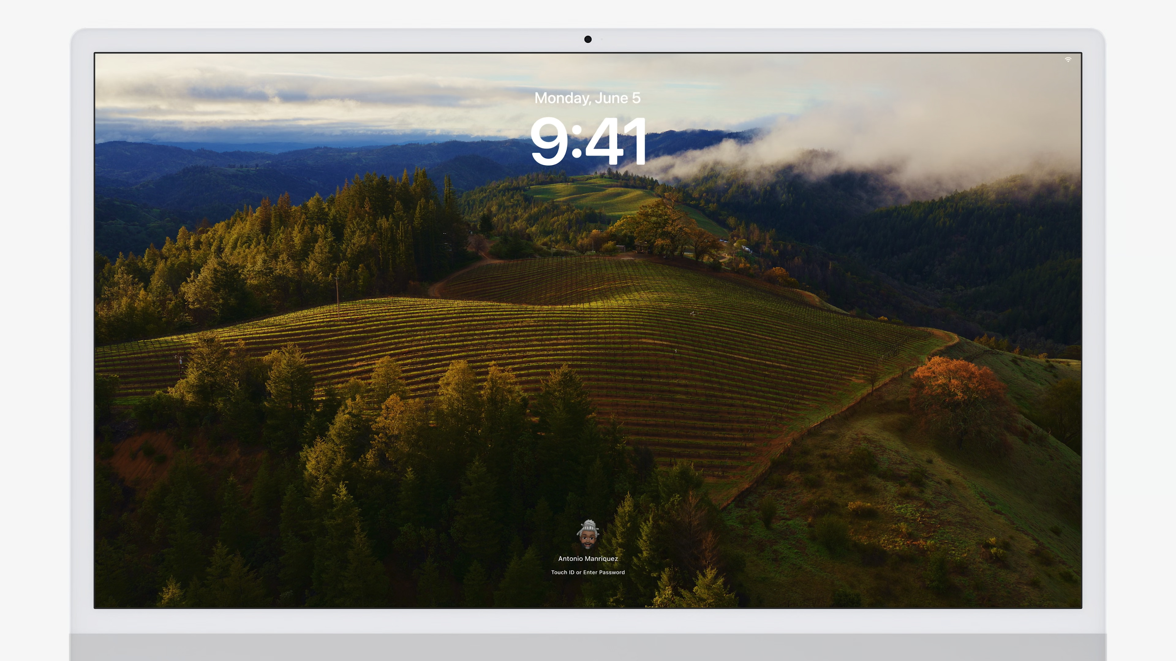 forest vineyard landscape