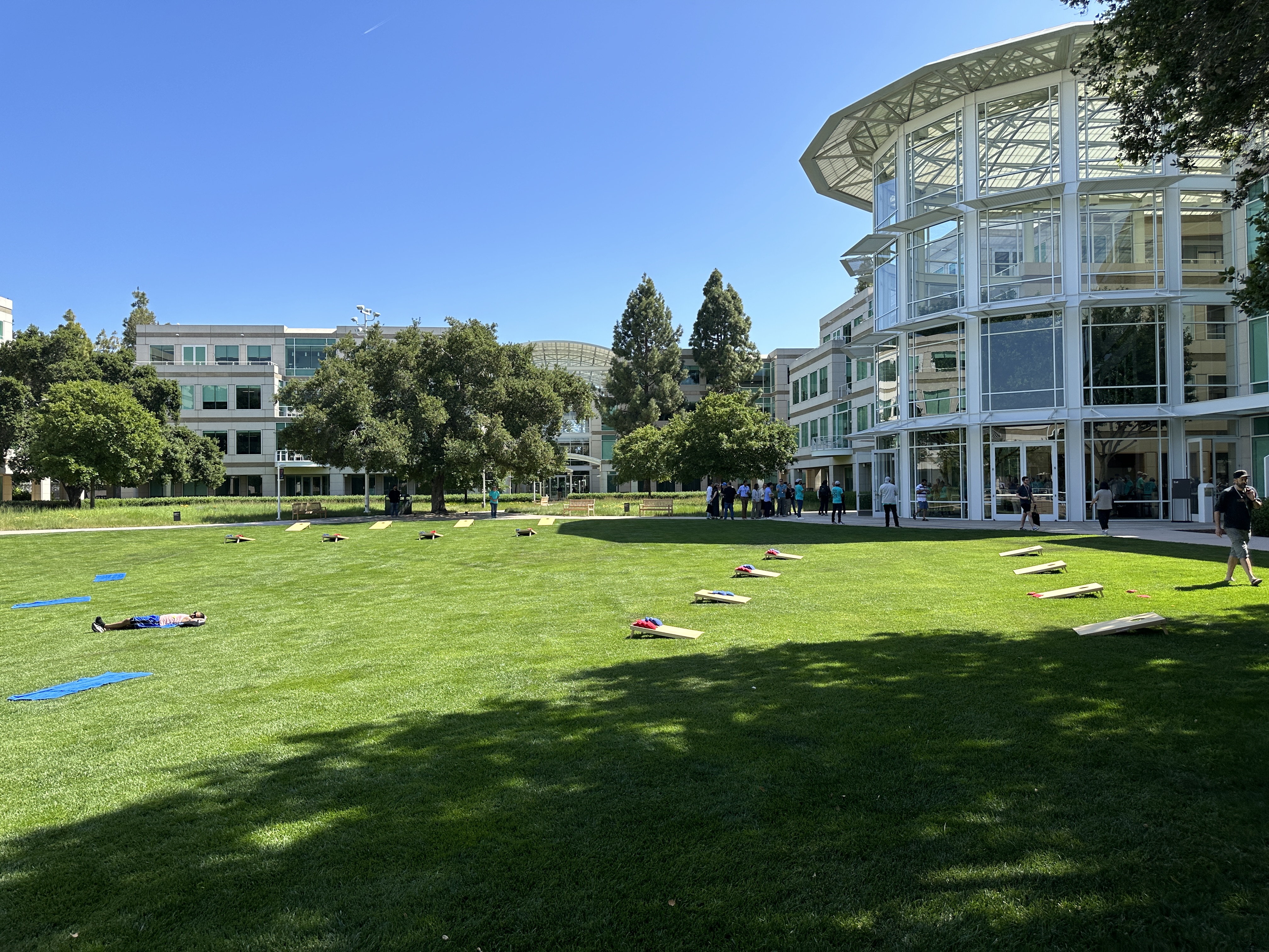 green lawn campus view