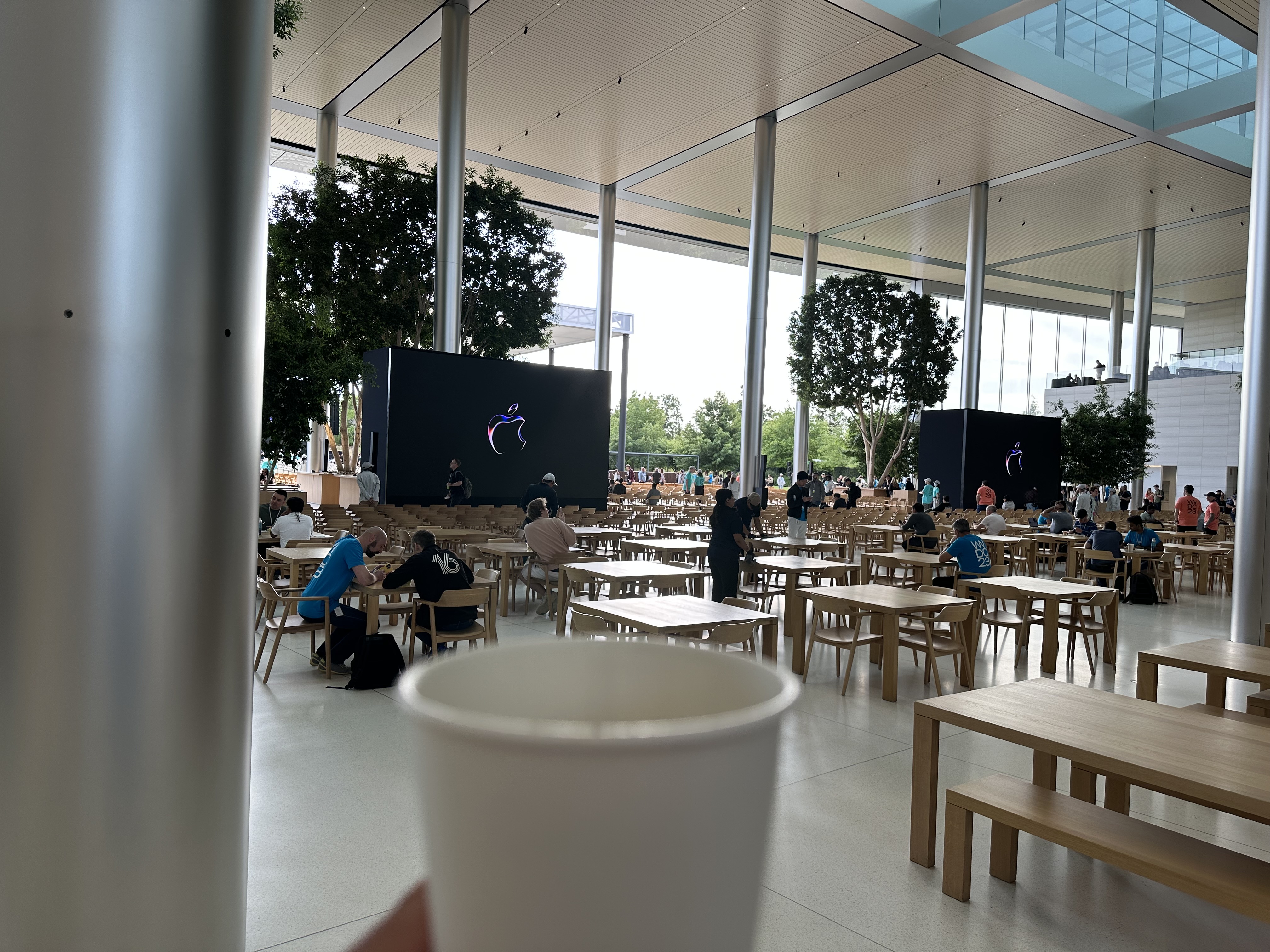 indoor cafeteria cup