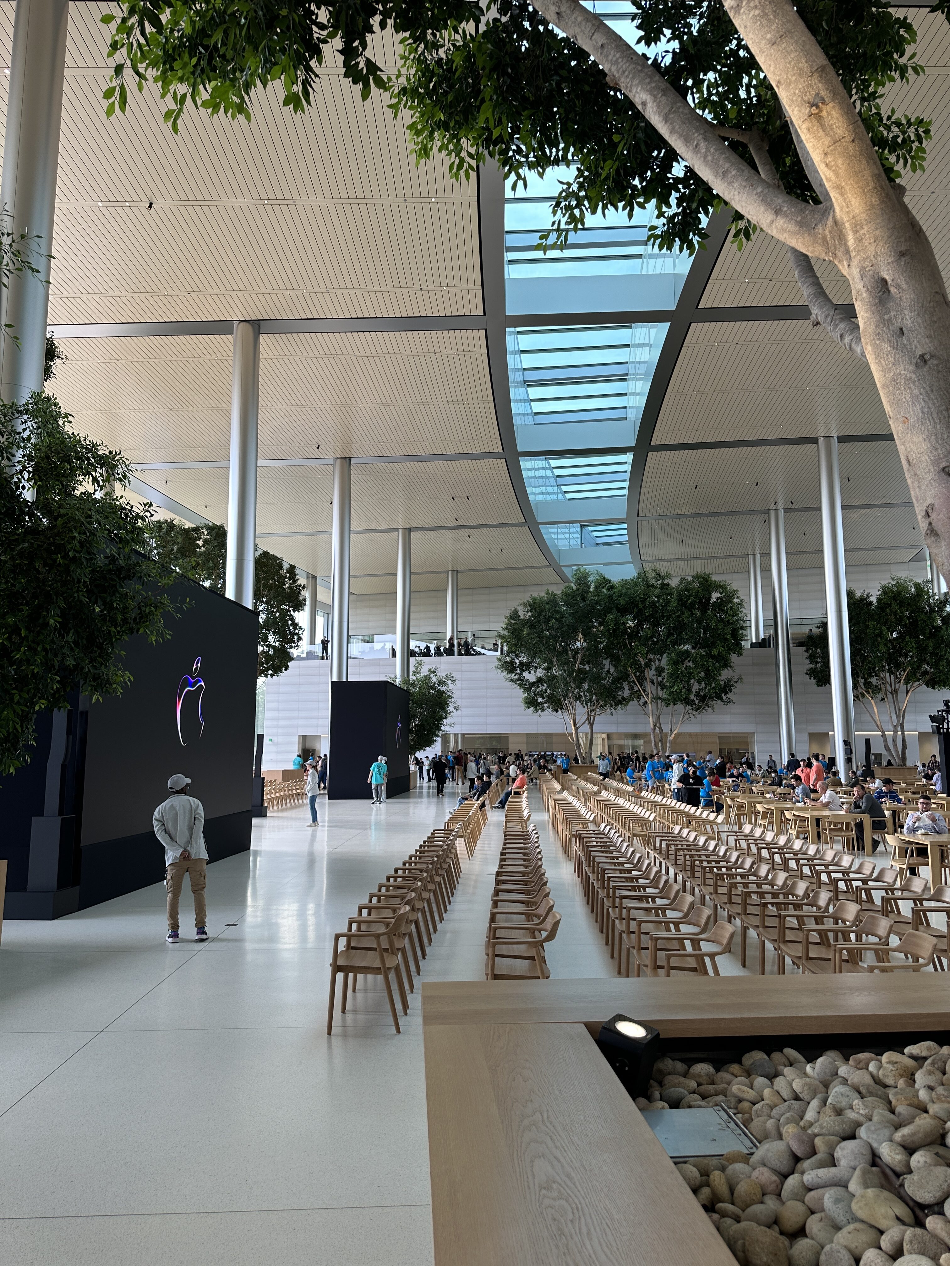 indoor event space trees