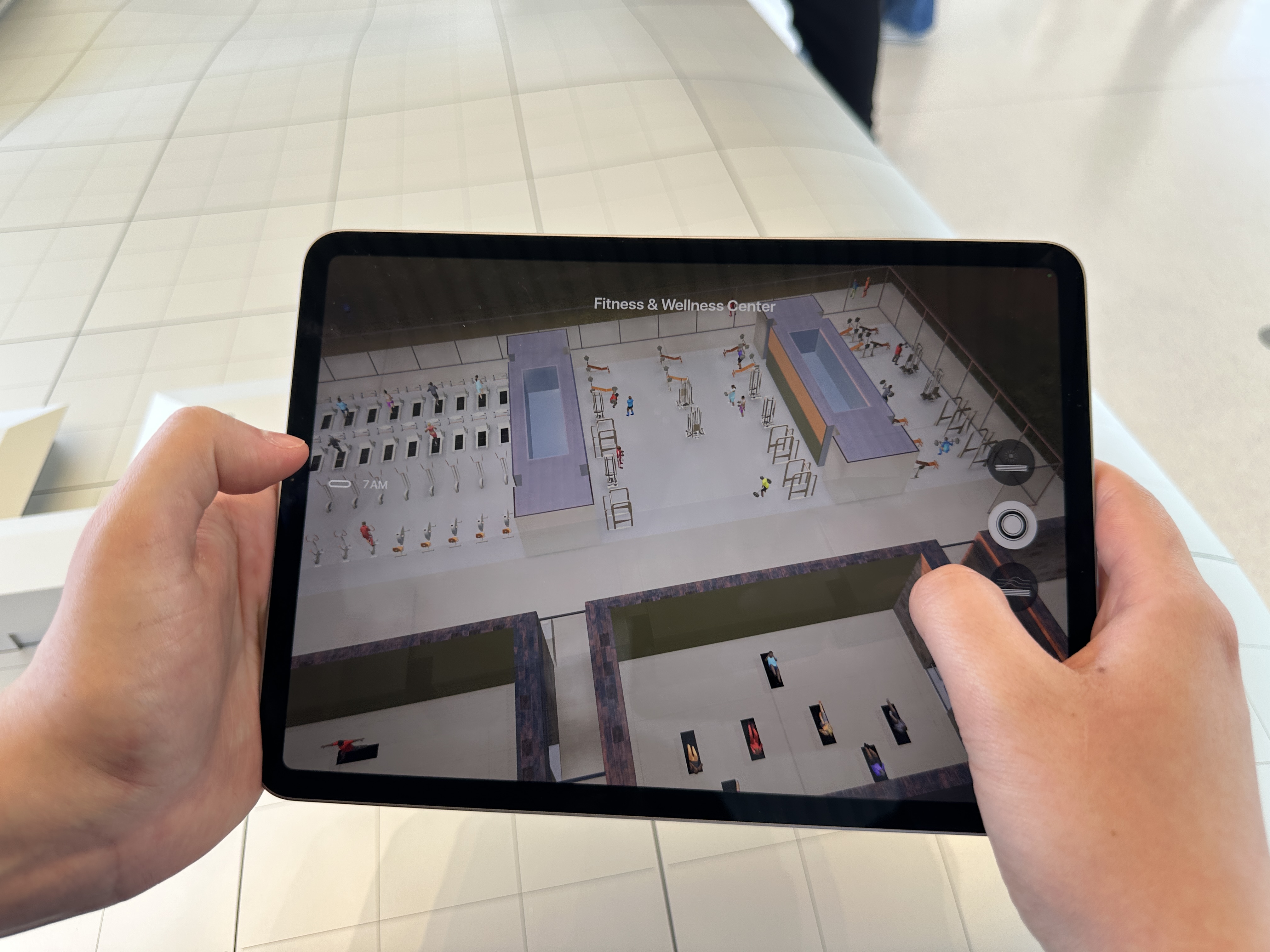 ipad augmented reality forest