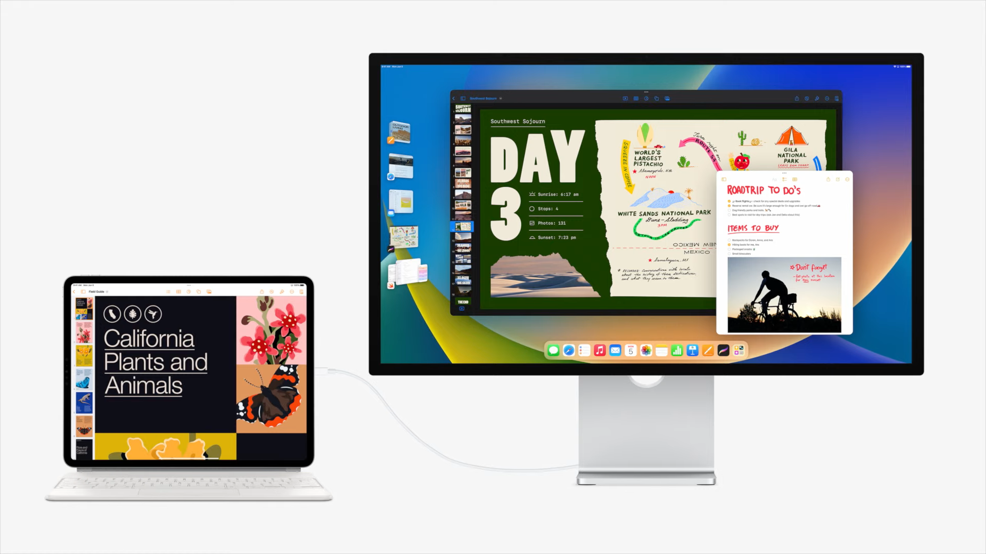 ipad connected to monitor