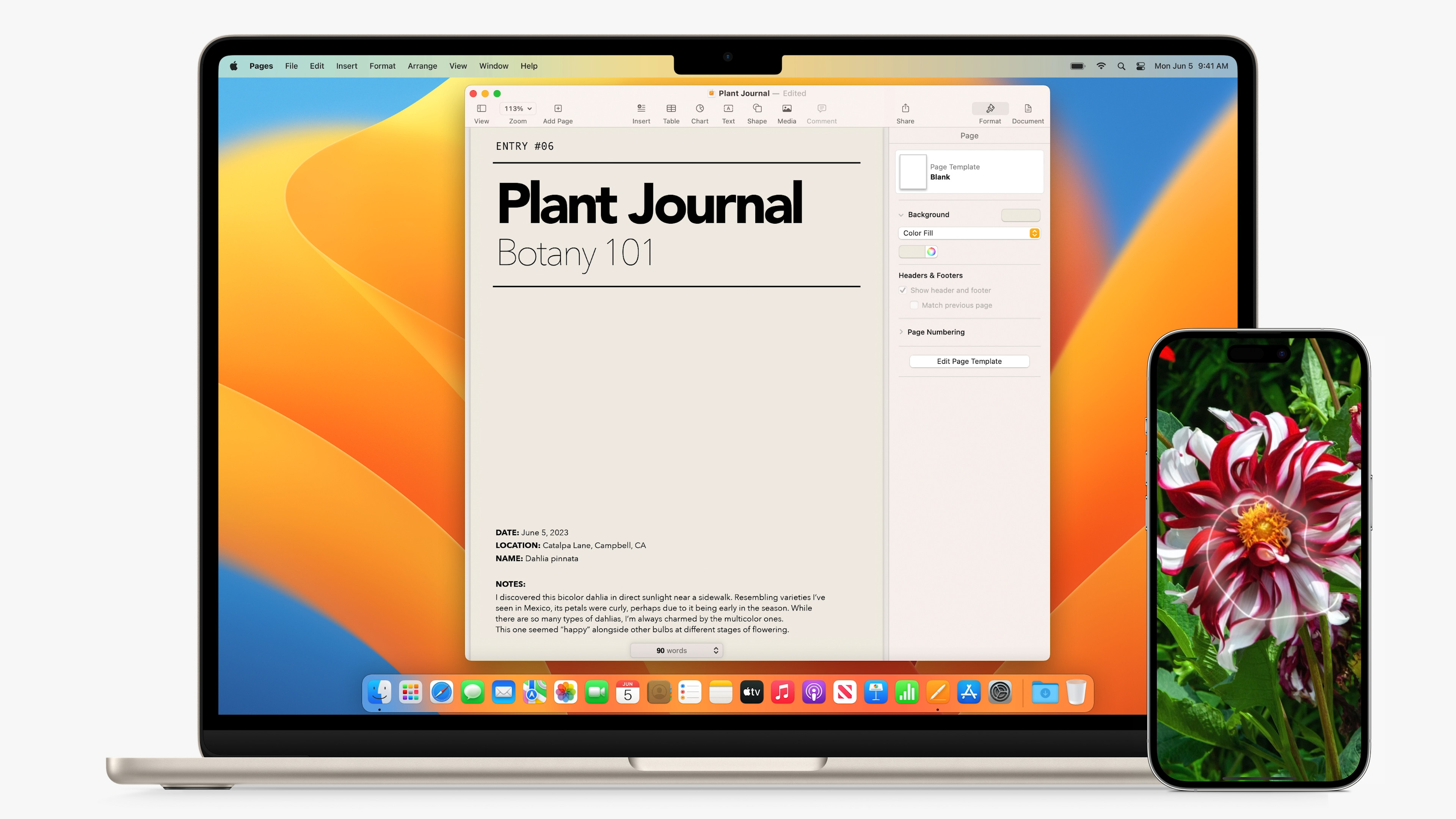 laptop and phone display