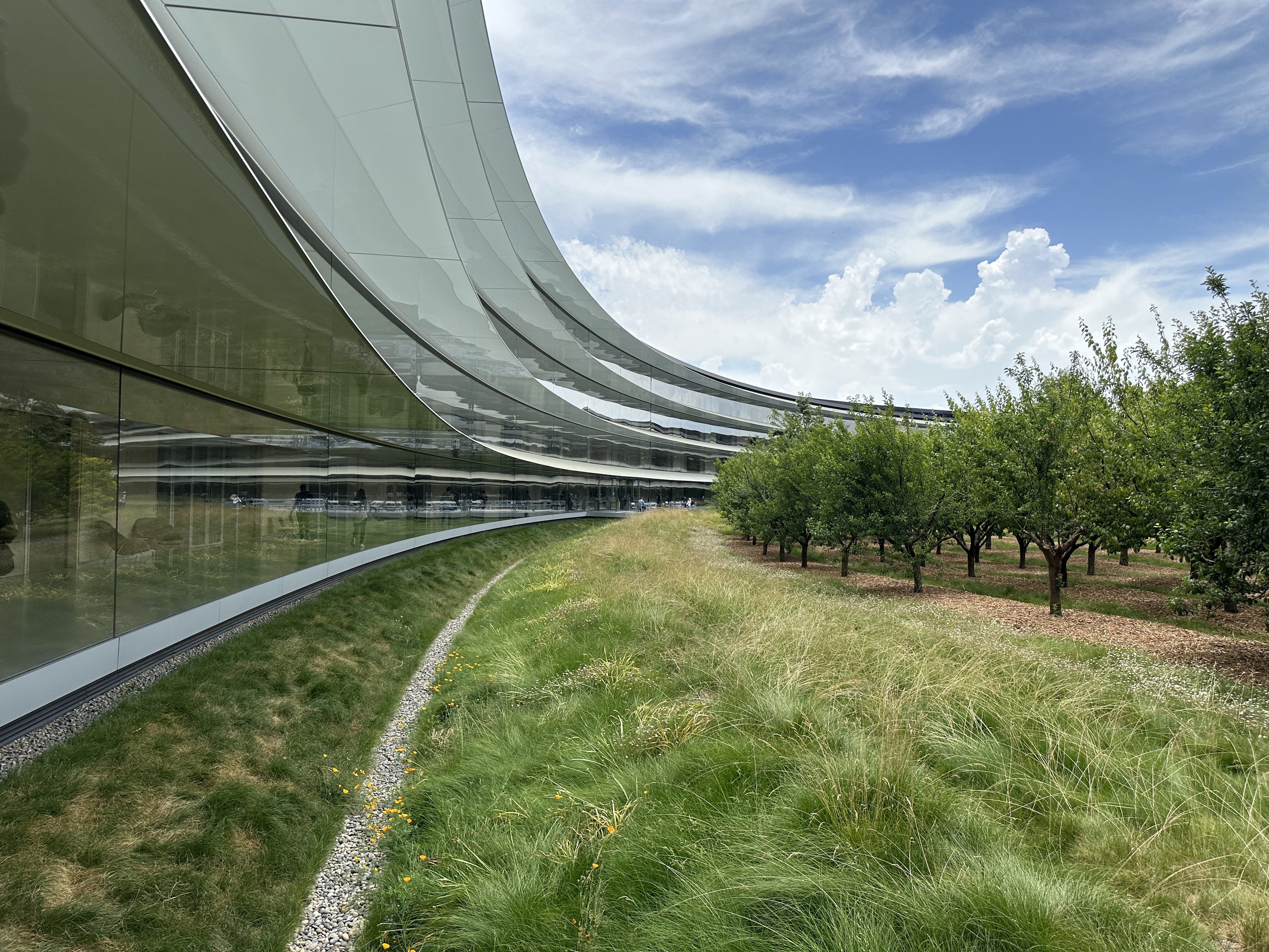 modern building architecture