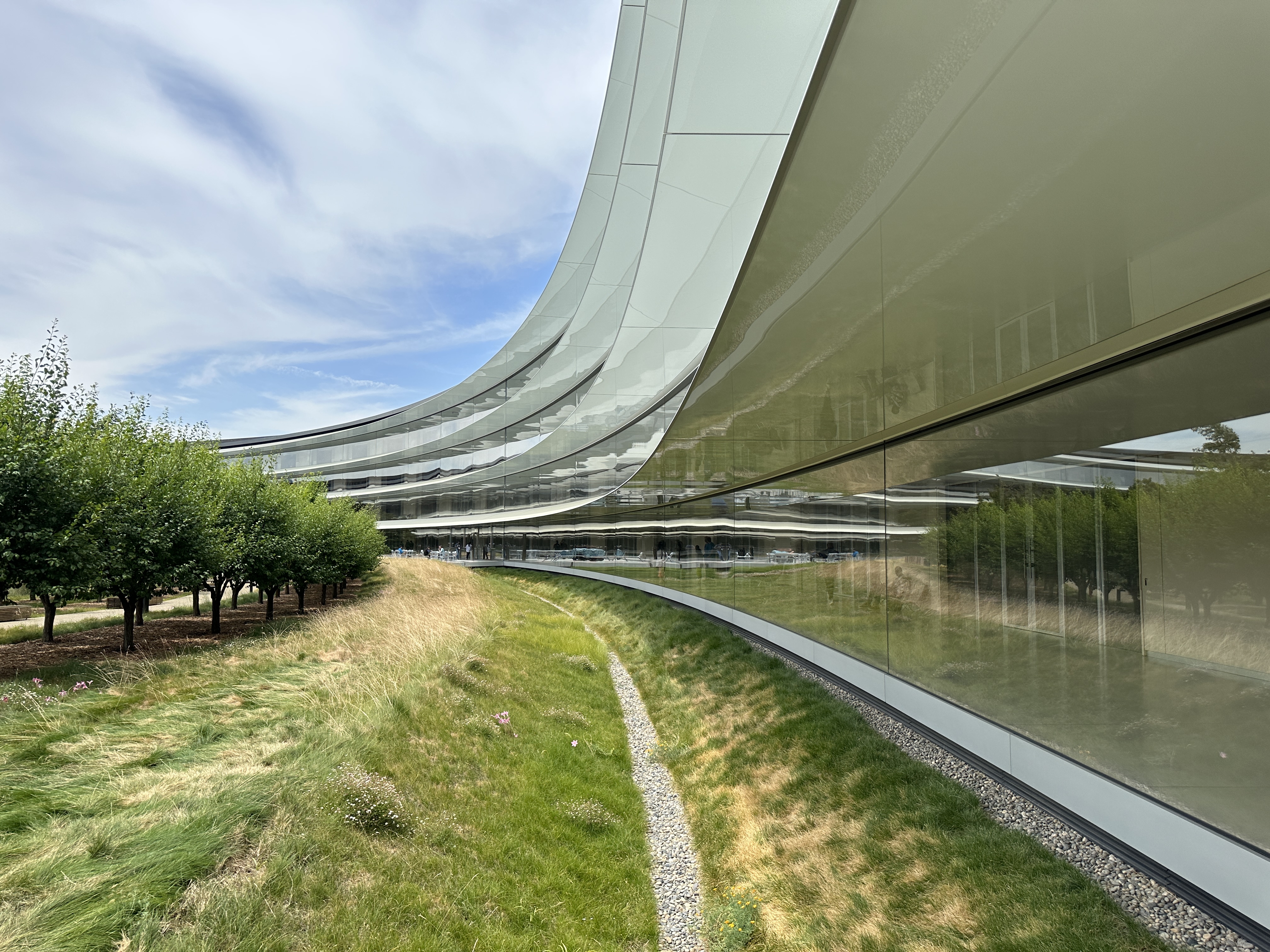 modern building exterior trees