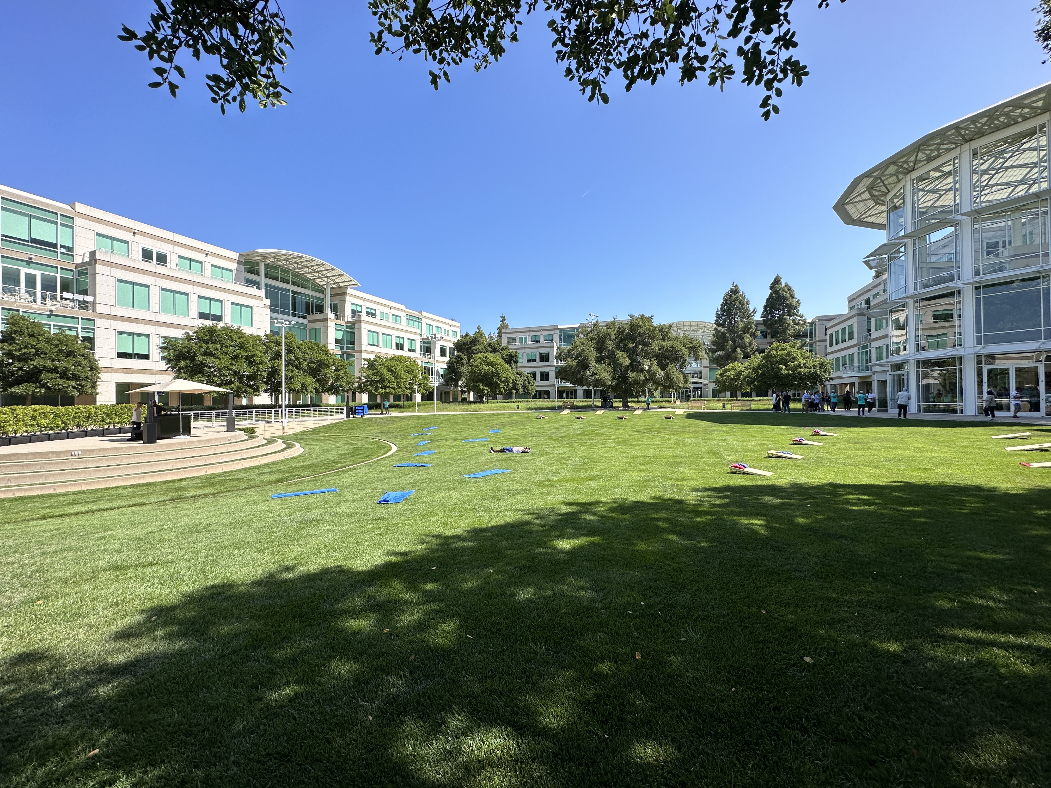 office campus lawn