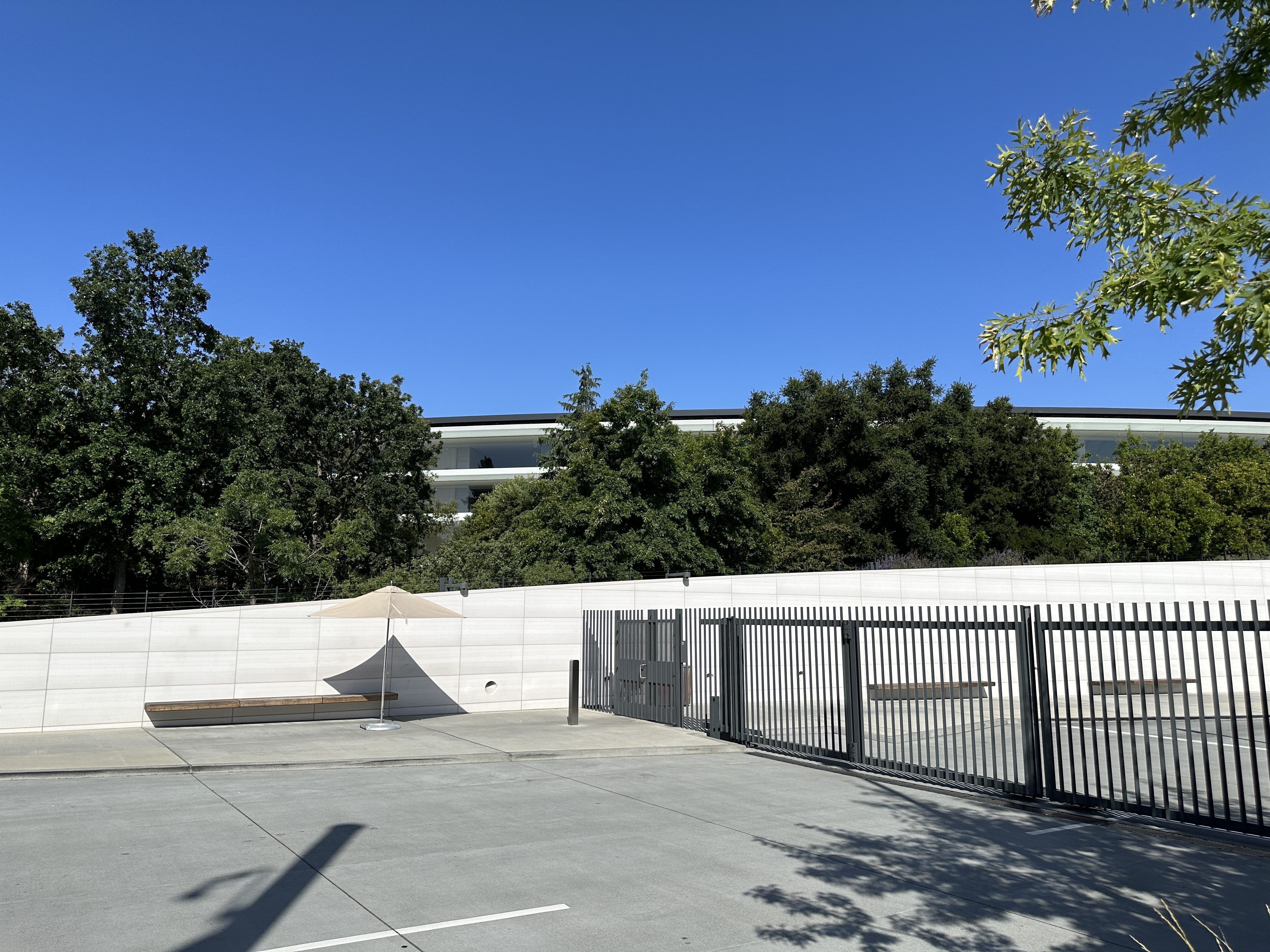 parking lot with trees