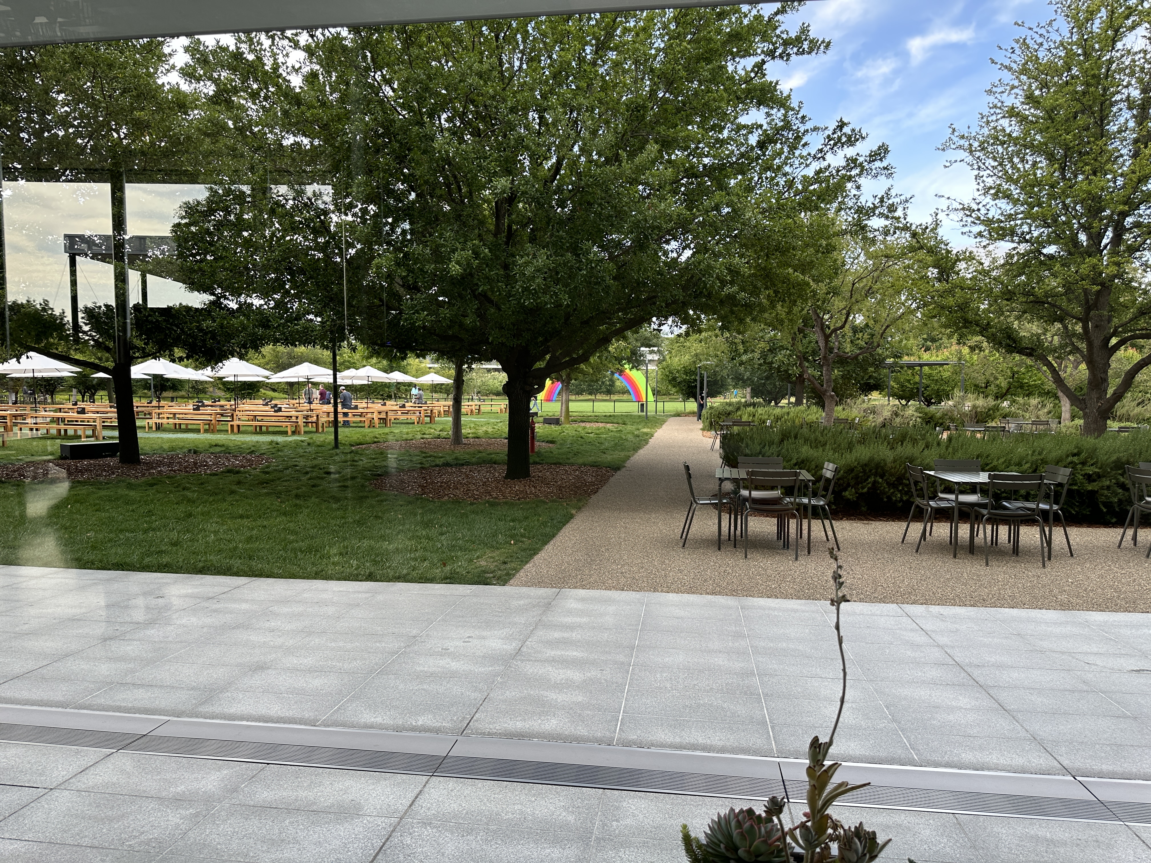 patio view trees seating