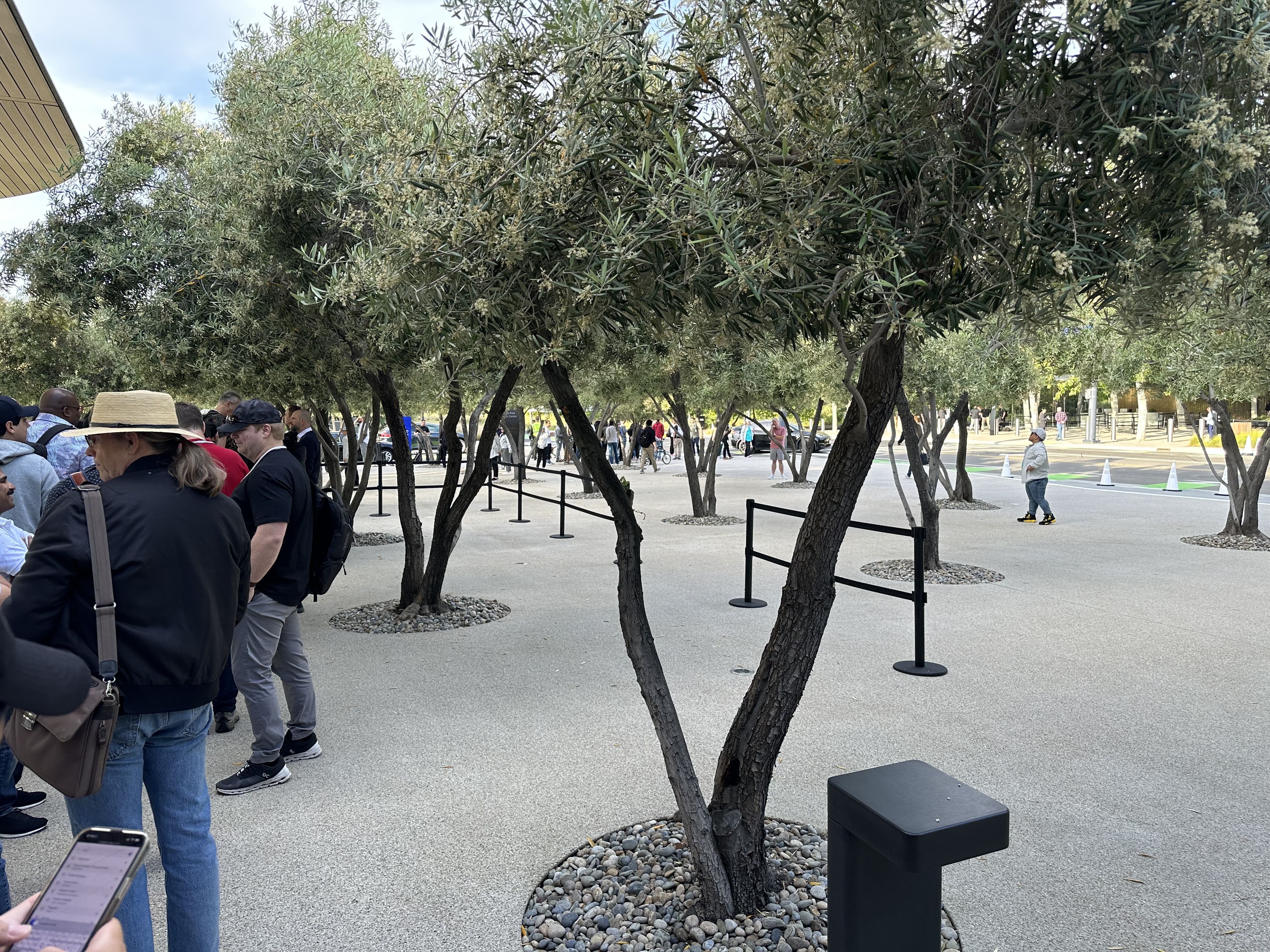 people waiting near trees