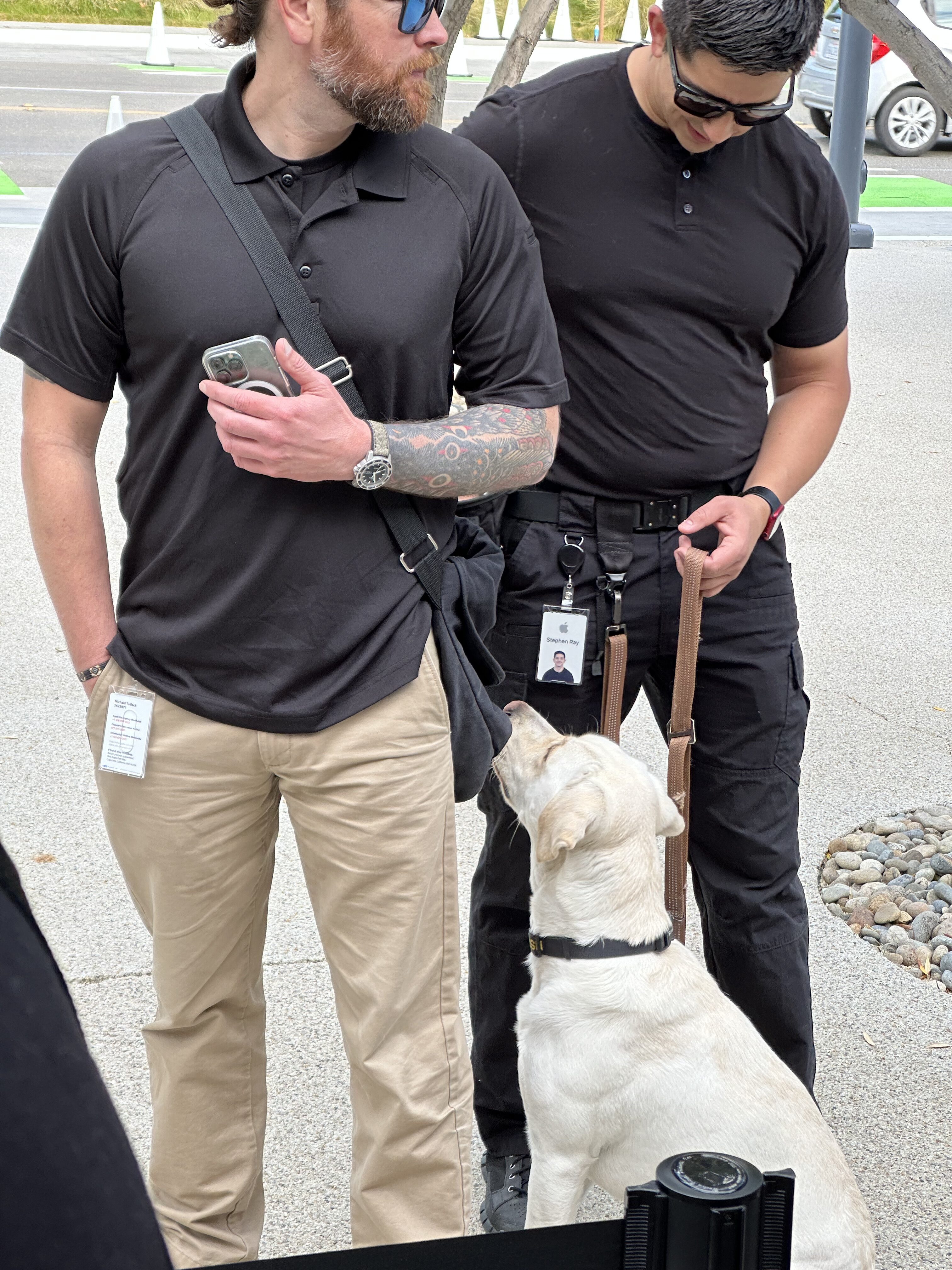 security personnel with dog