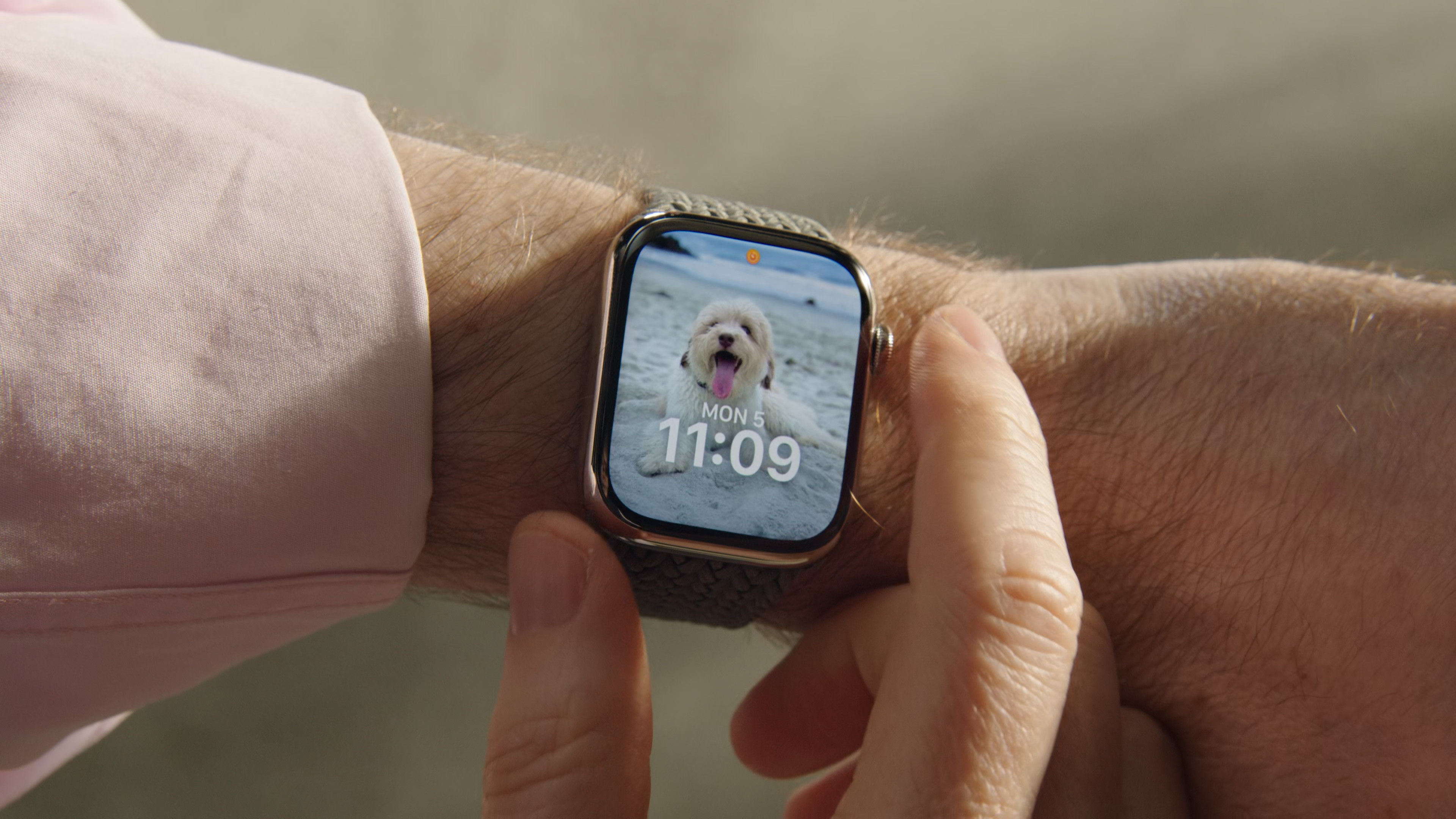 smartwatch dog photo watchface