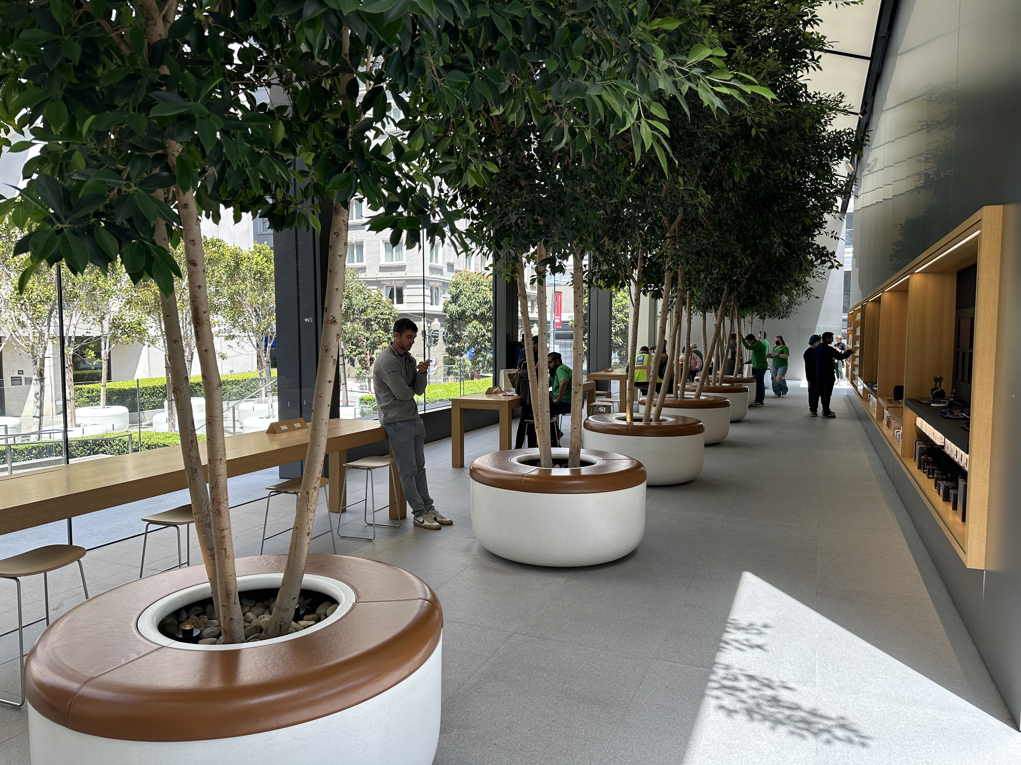 tech store with trees