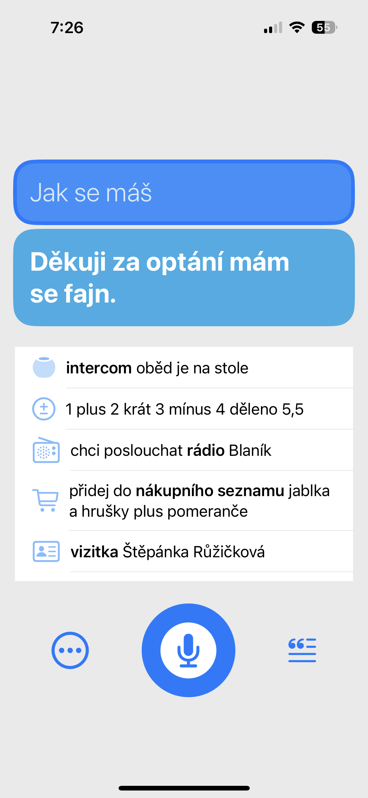 voice assistant conversation screen