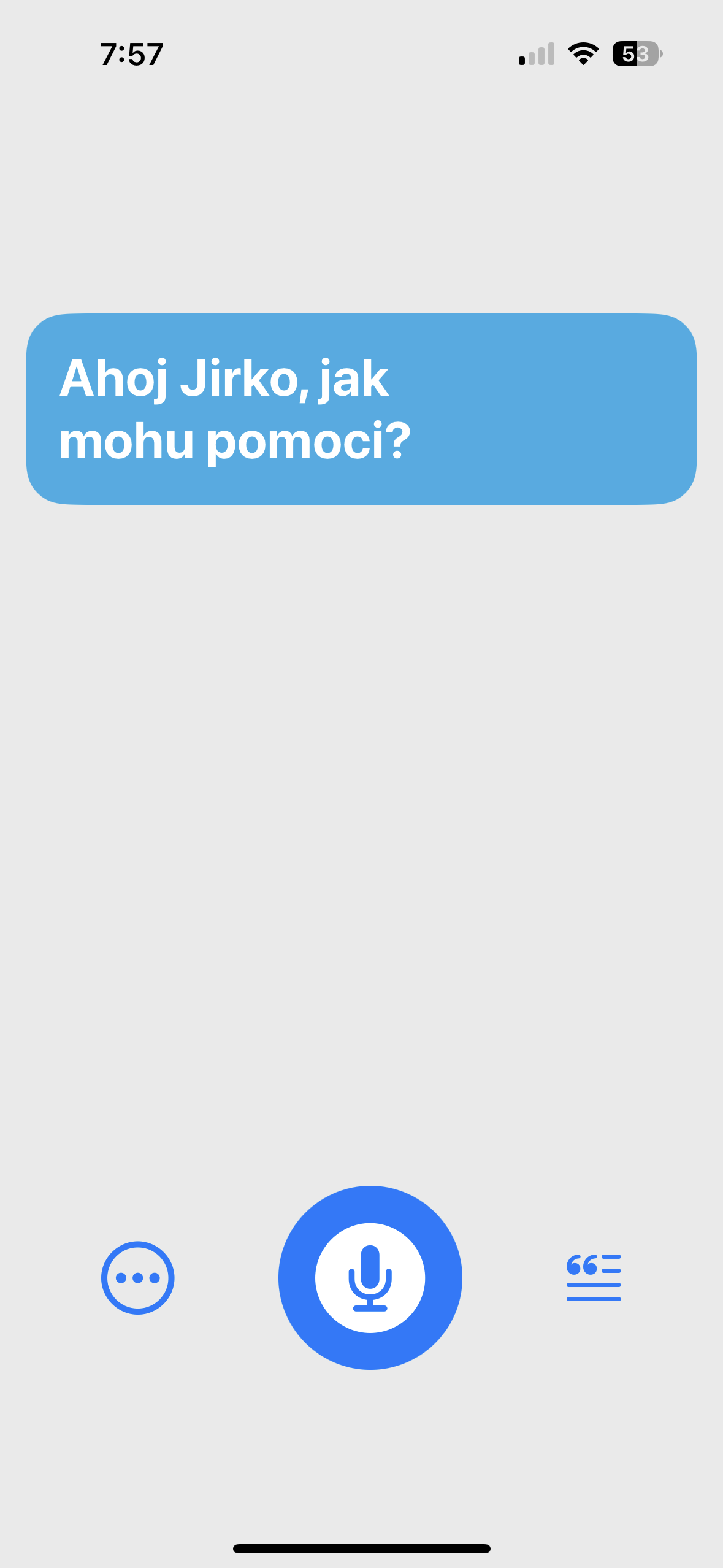 voice assistant help screen