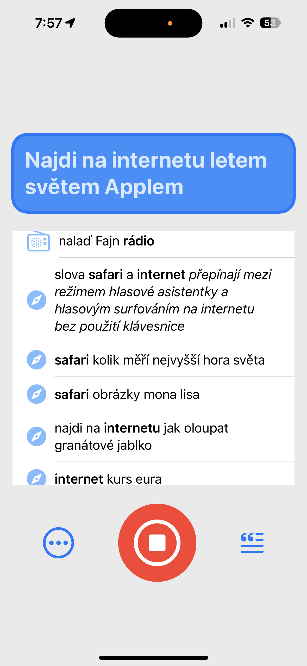 voice assistant internet search