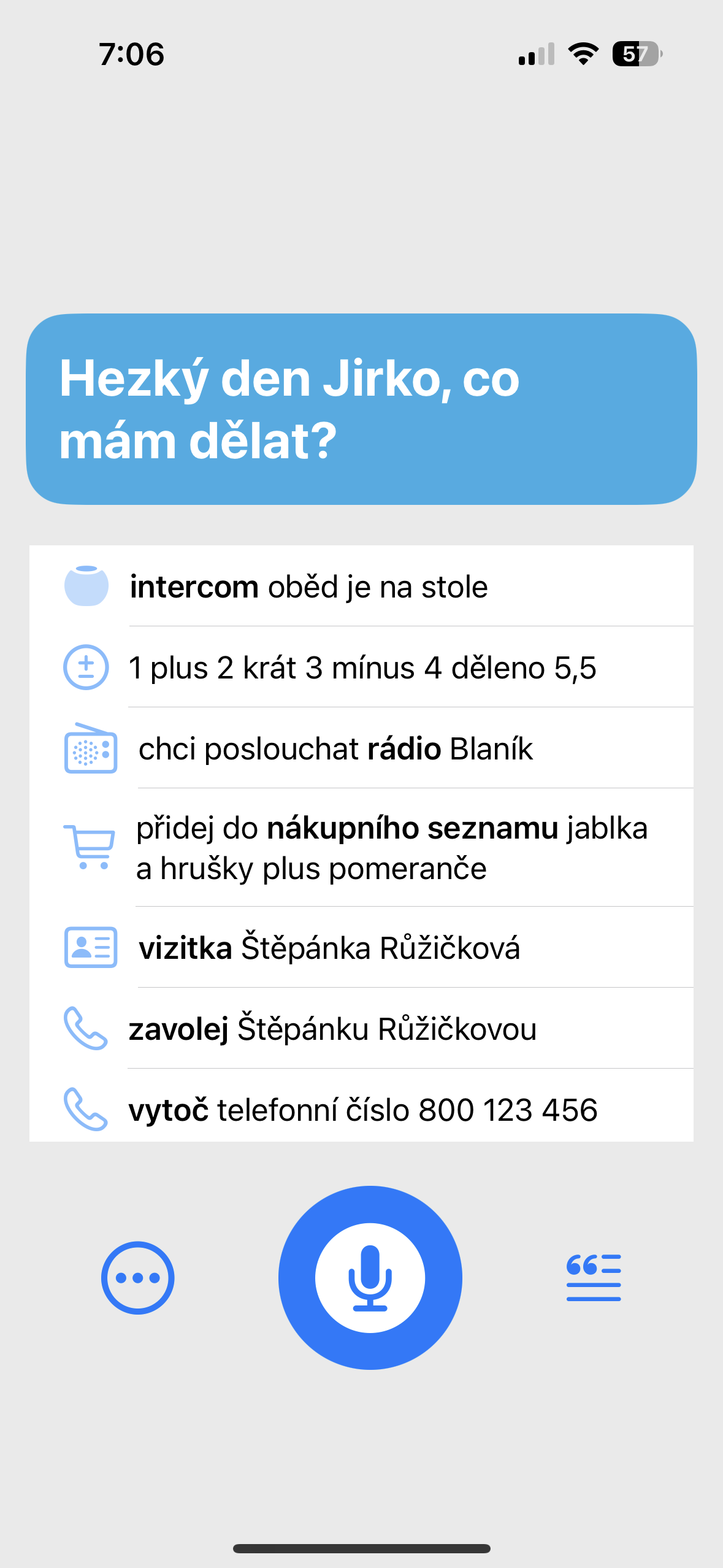 voice command options