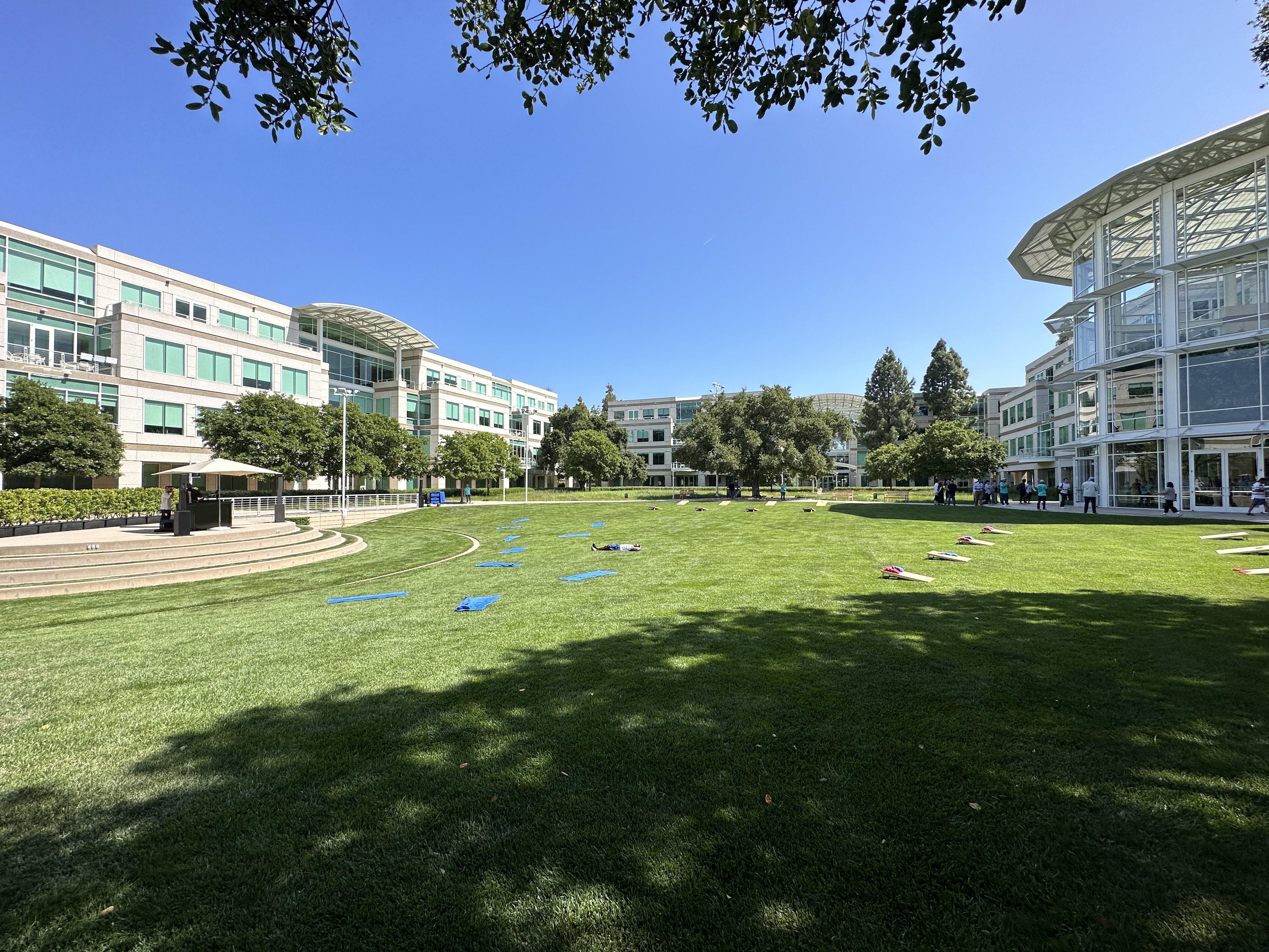 wide campus lawn view