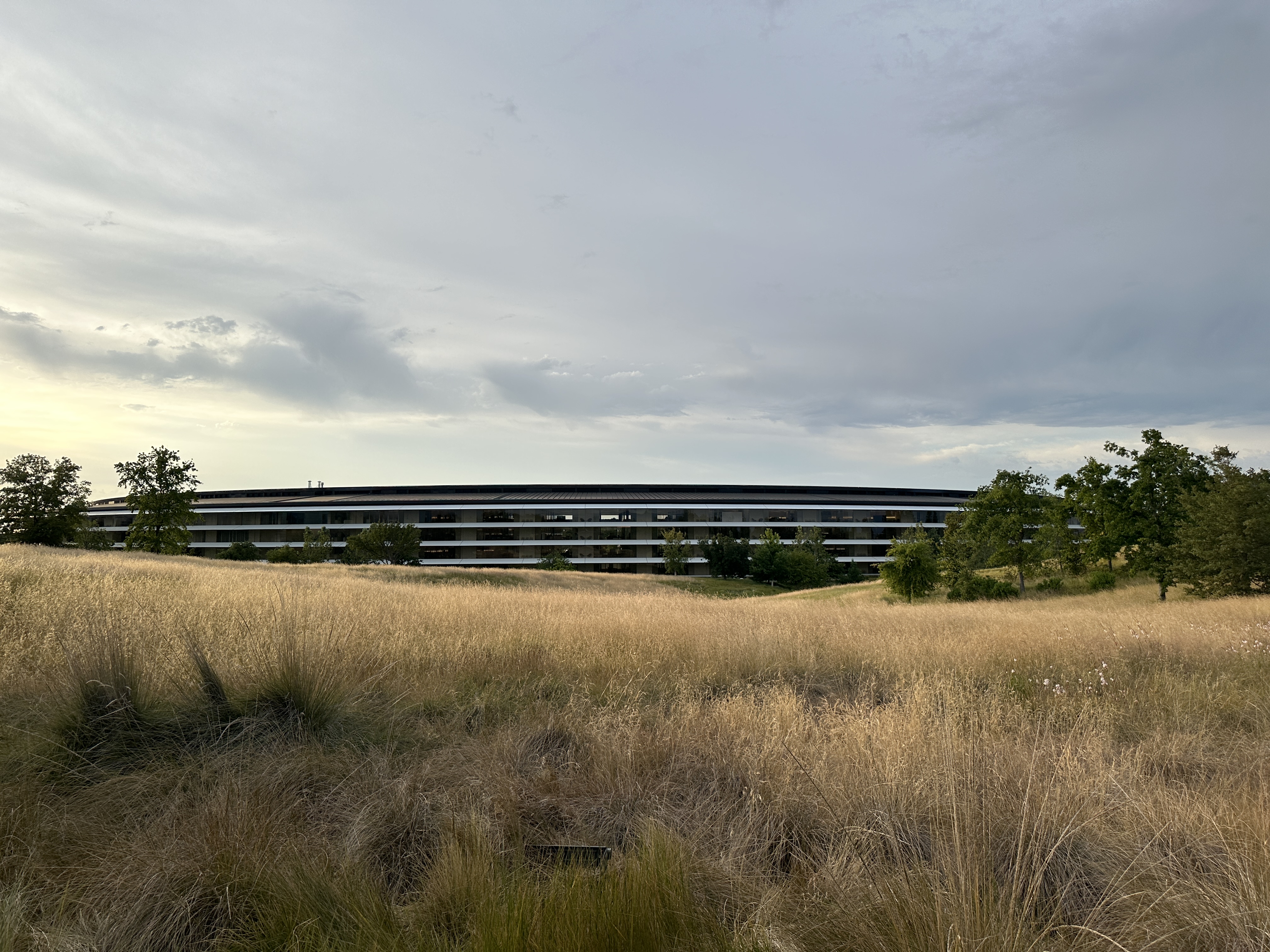 apple campus view