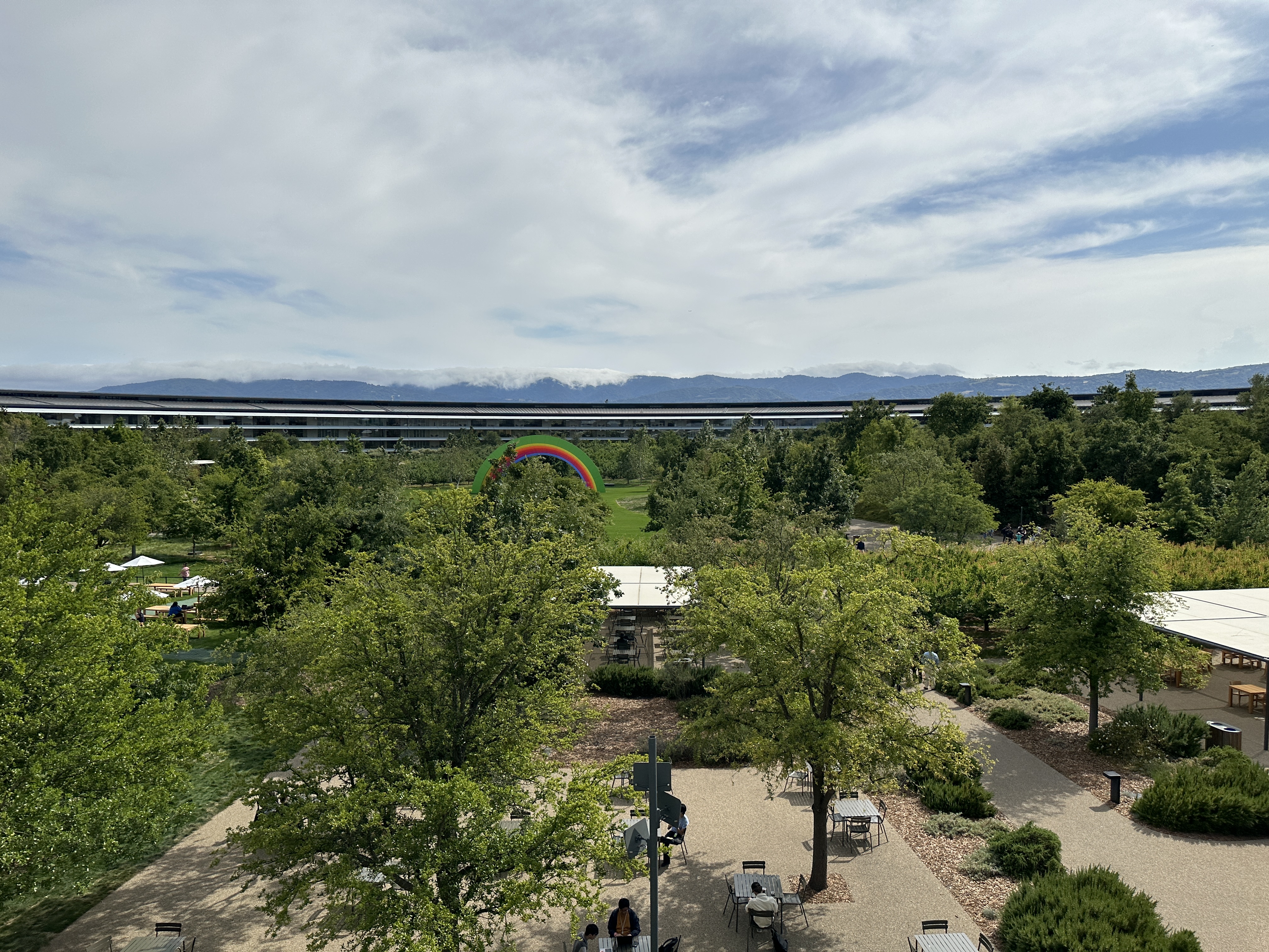 apple park curved architecture