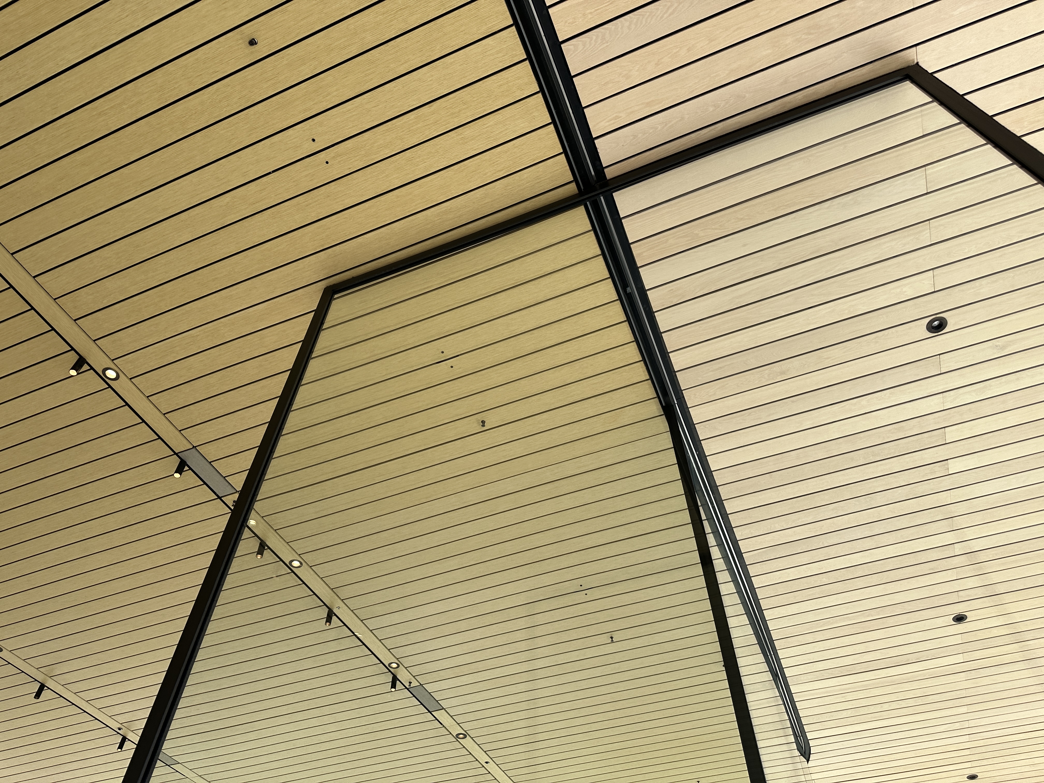 apple store ceiling design