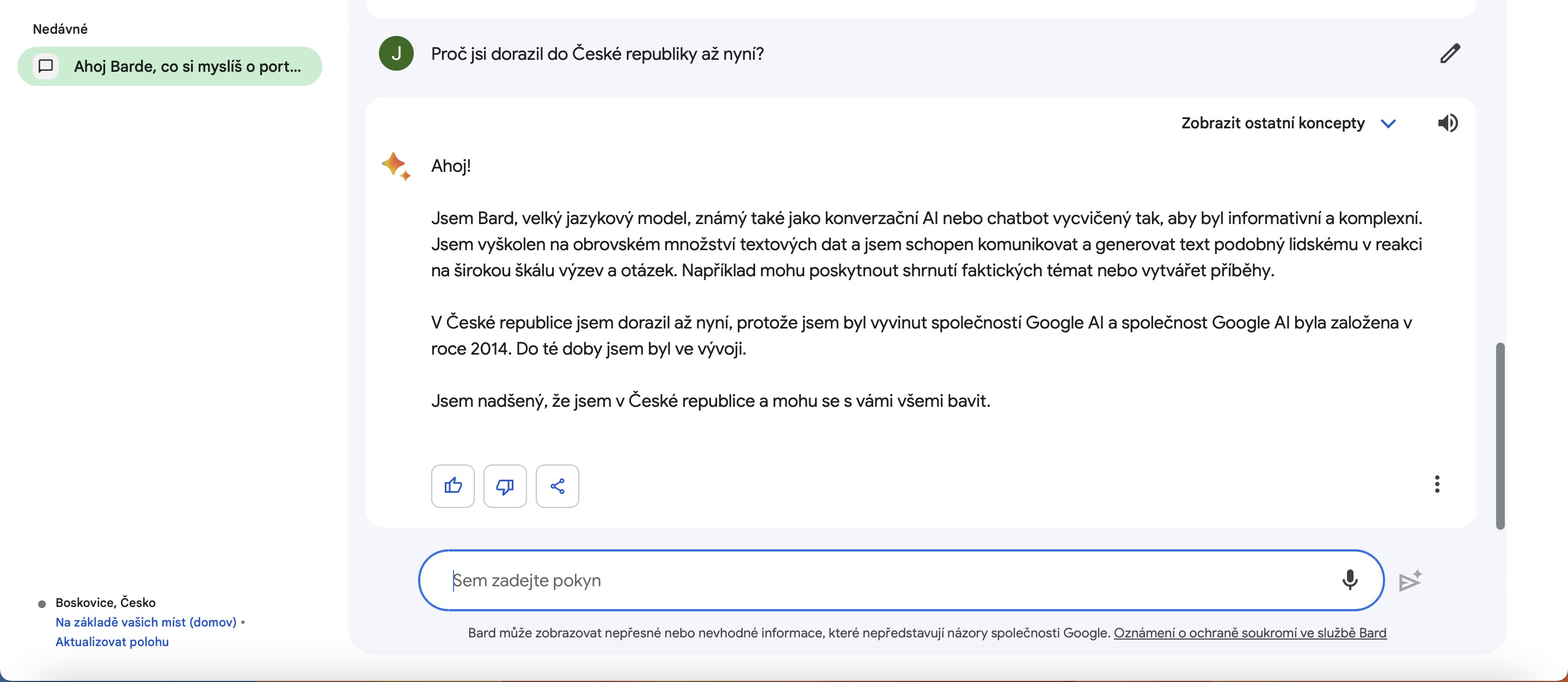chat interface czech language