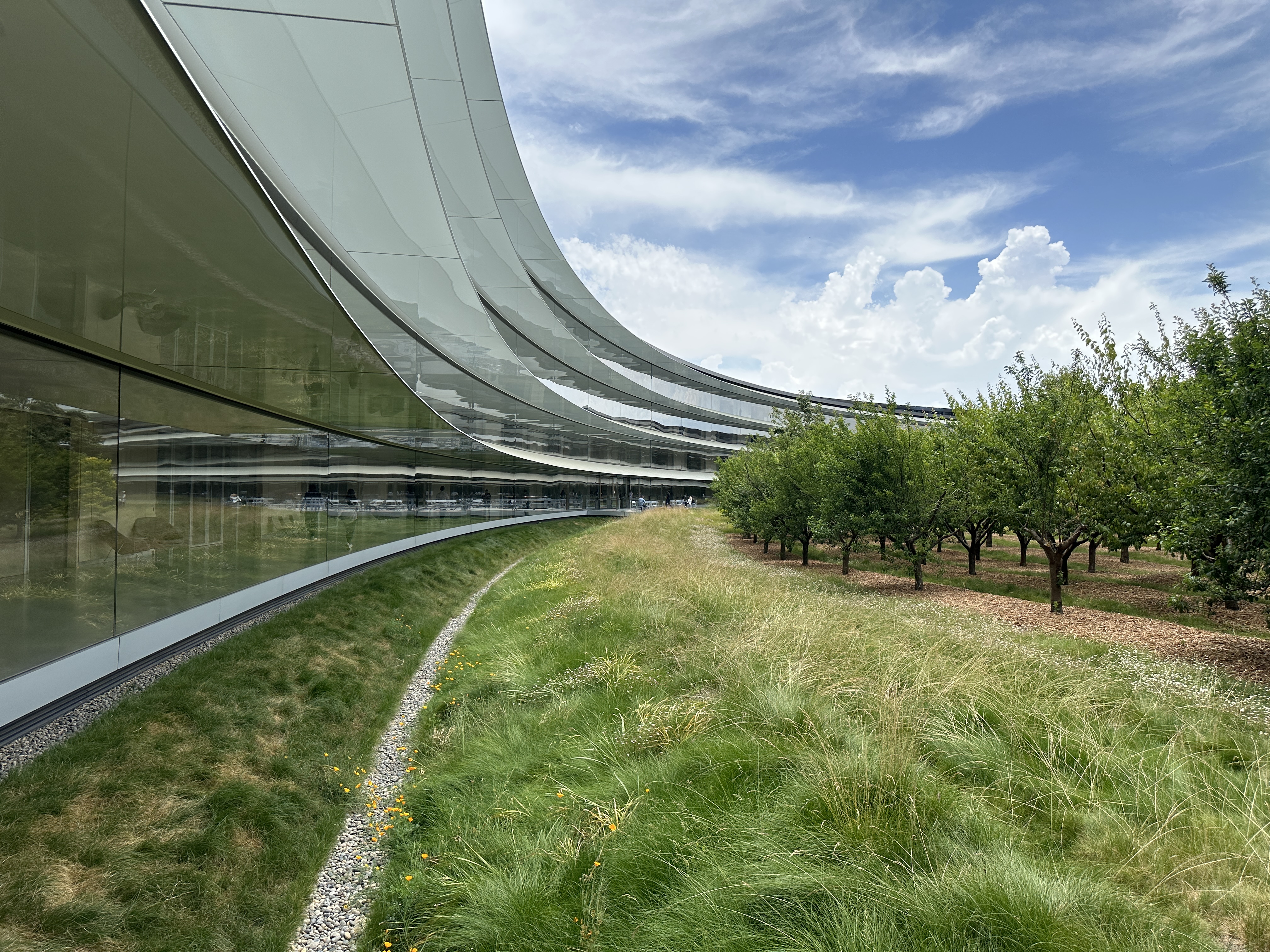 curved building landscape
