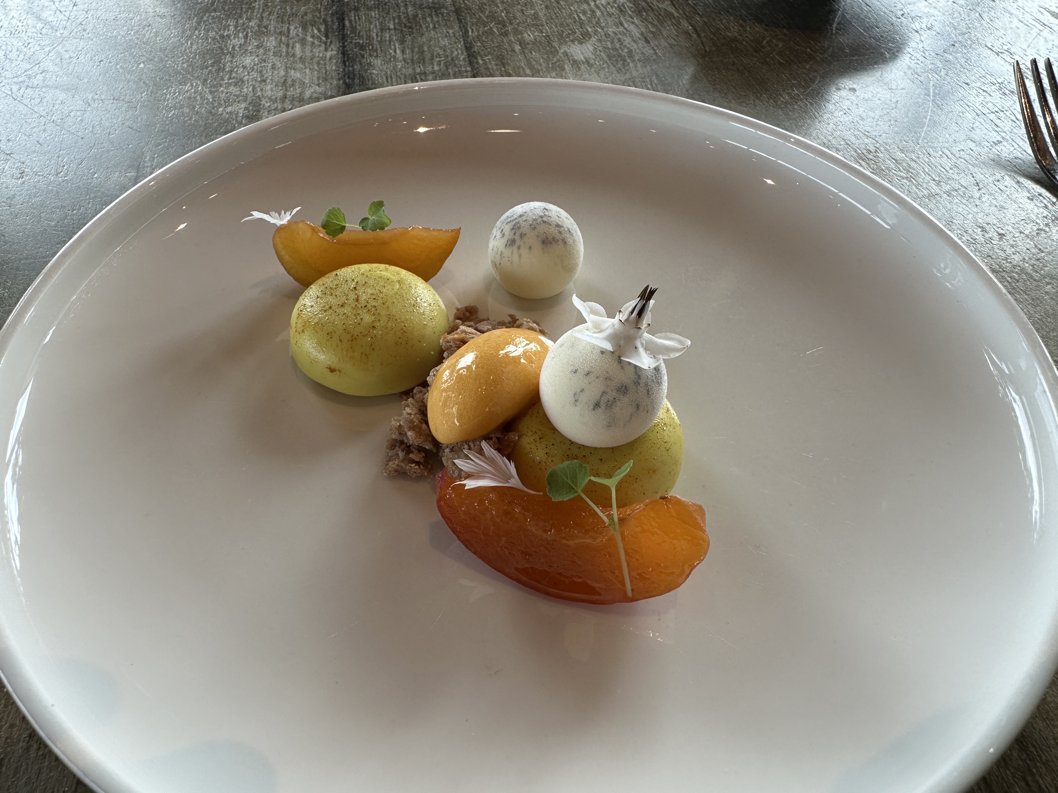 fruit dessert presentation