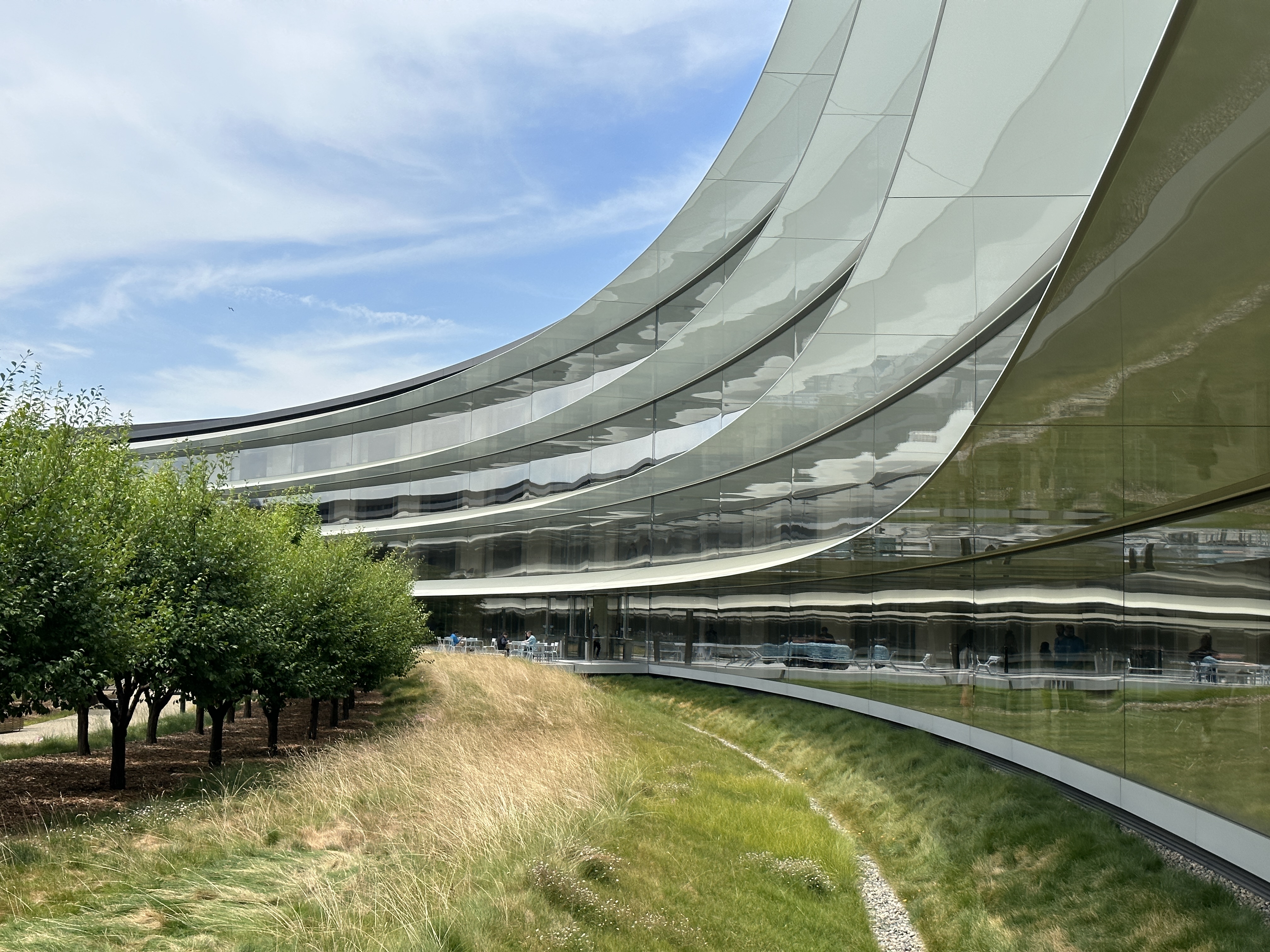 glass building trees landscape