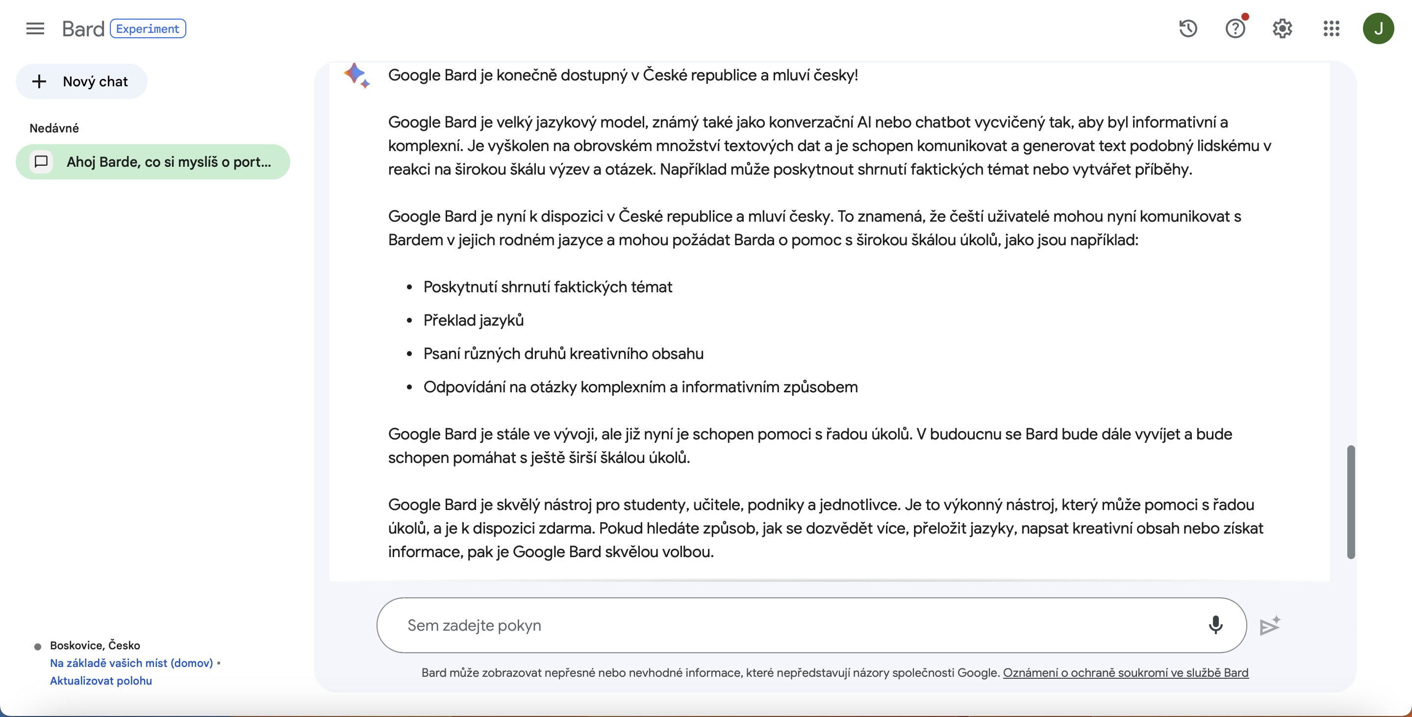 google bard interface