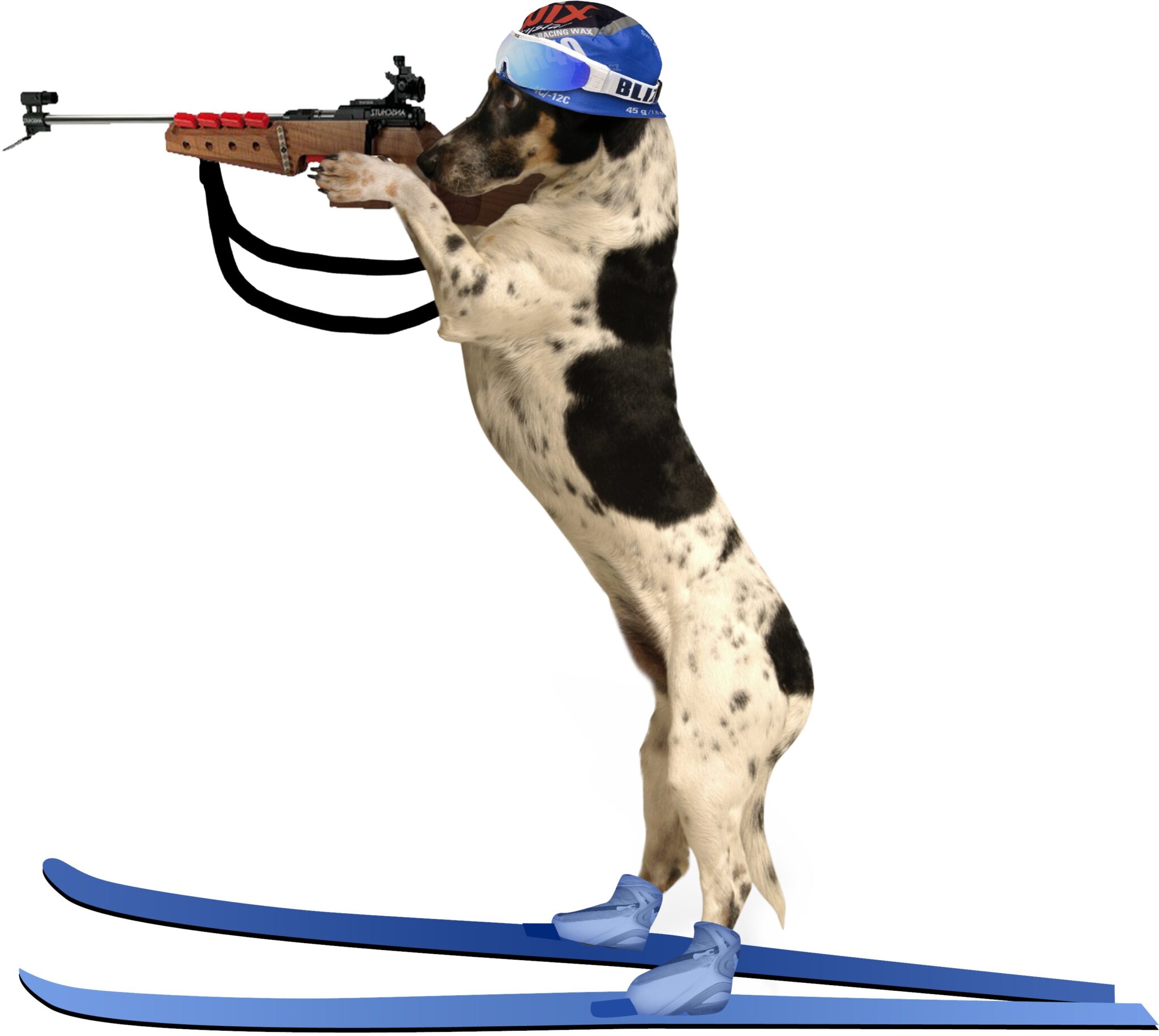 Pejsek ze Seznam.cz aneb příběh nejznámějšího maskota na českém ...