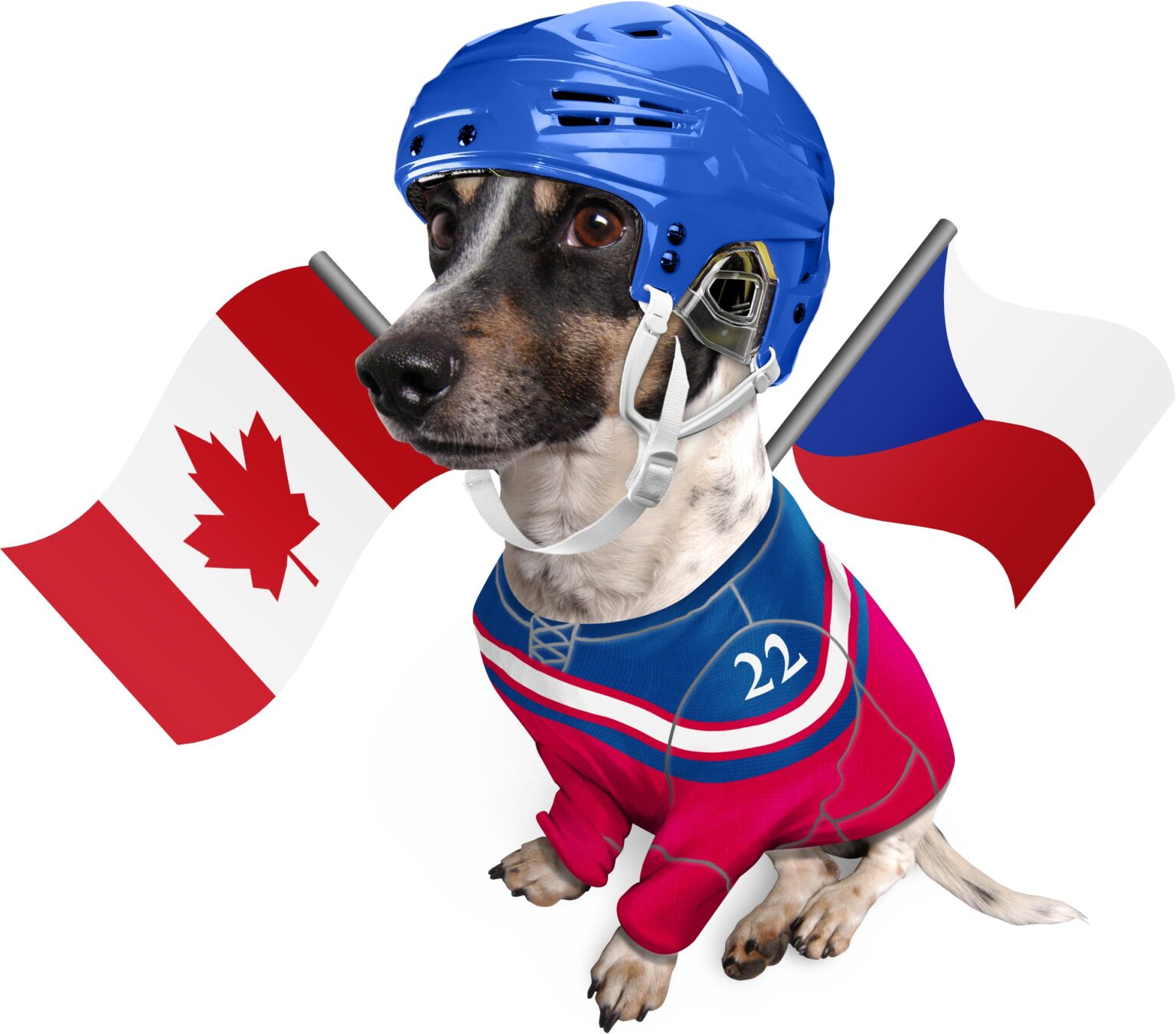 Pejsek ze Seznam.cz aneb příběh nejznámějšího maskota na českém ...