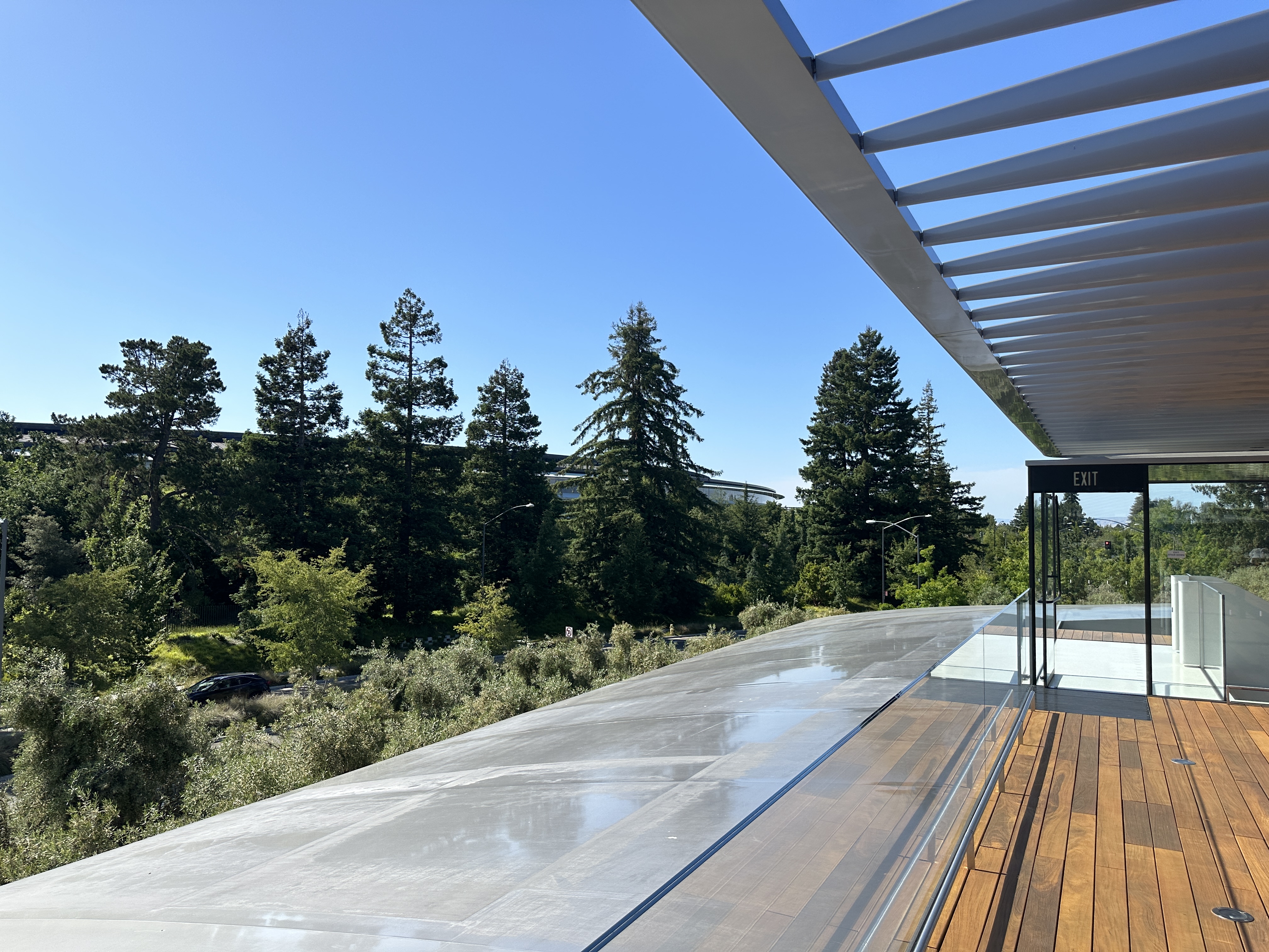 rooftop view with trees