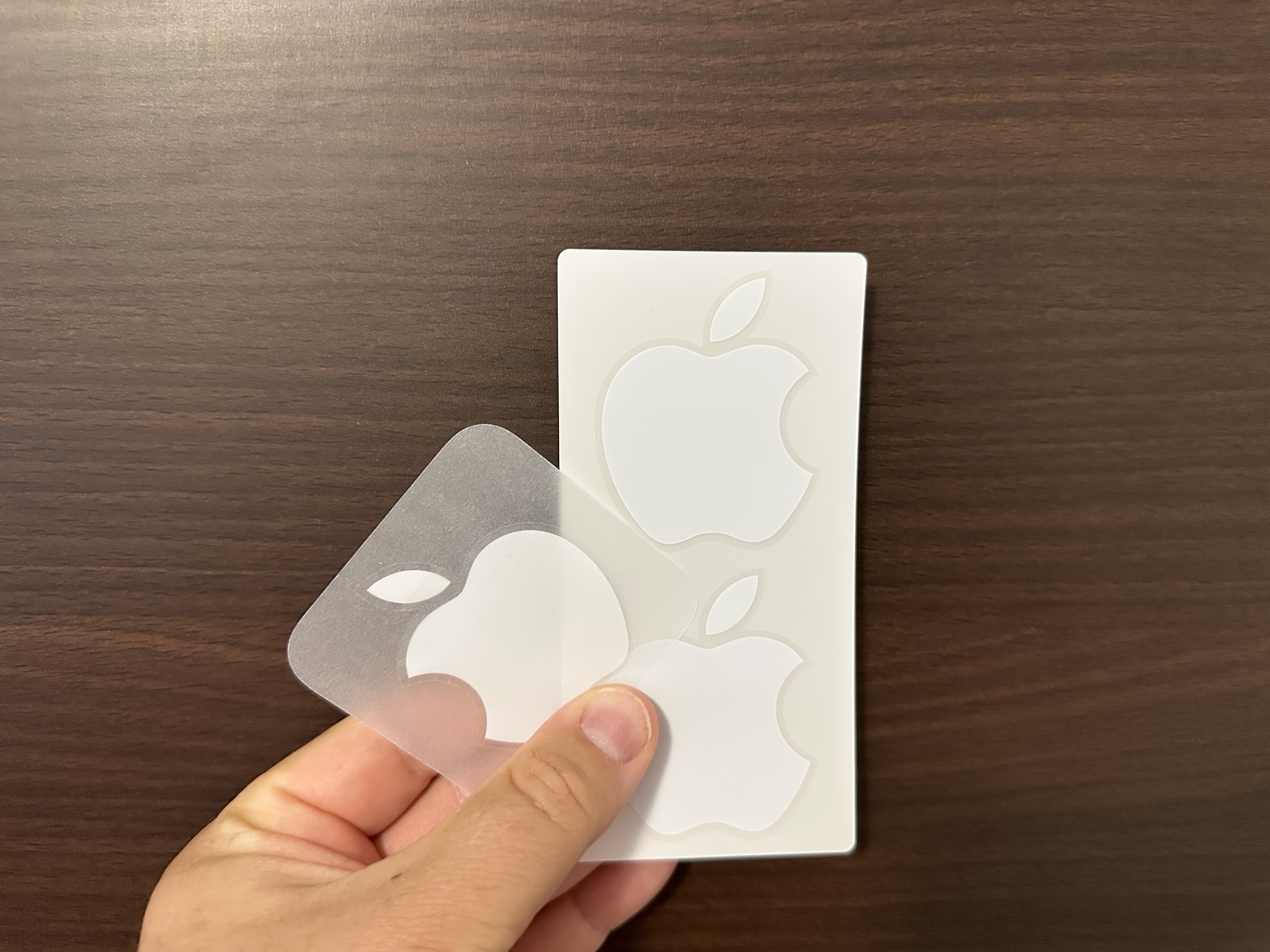 hand holding apple logo stickers