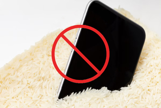 phone in rice