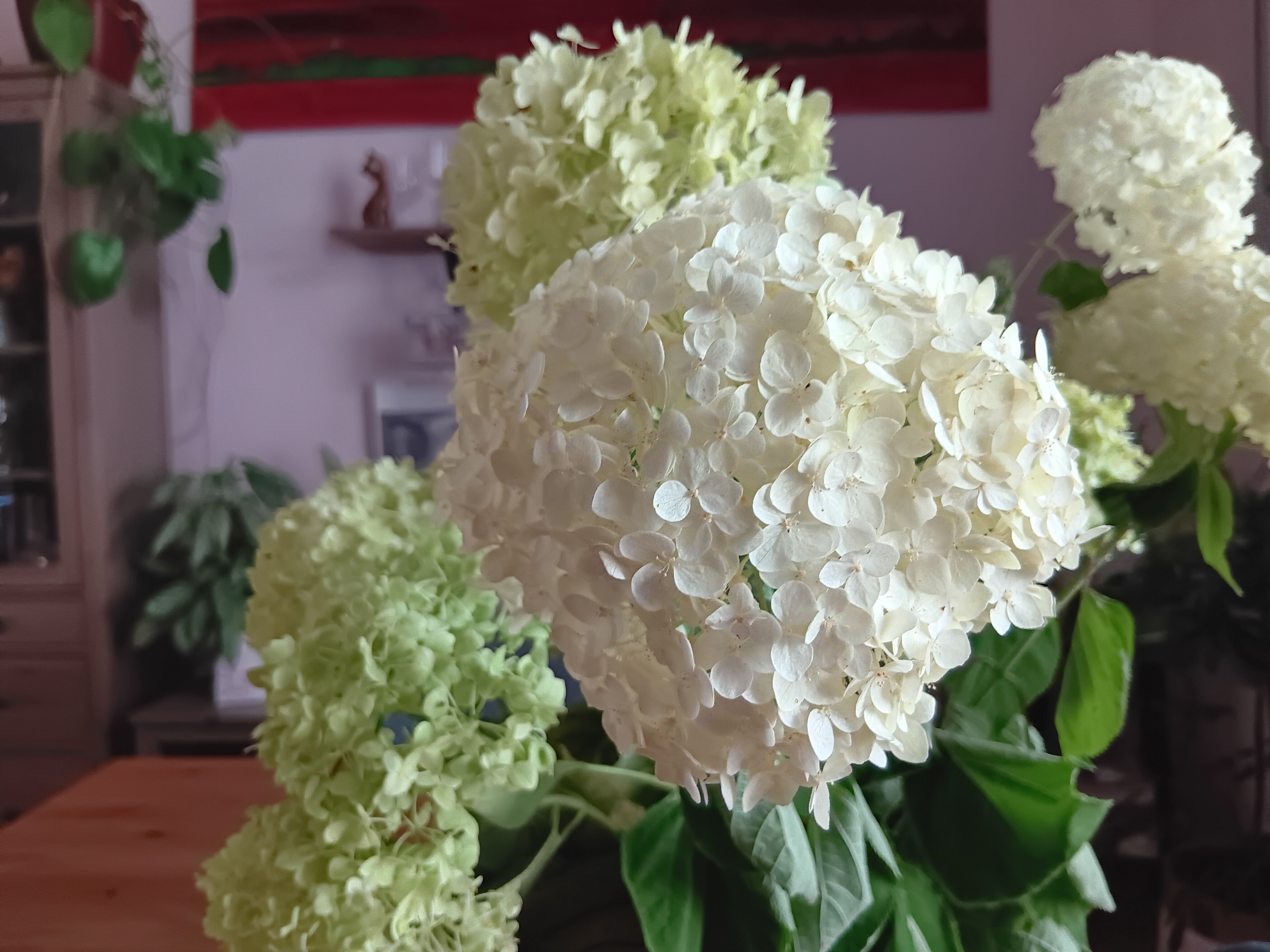 white hydrangea bouquet