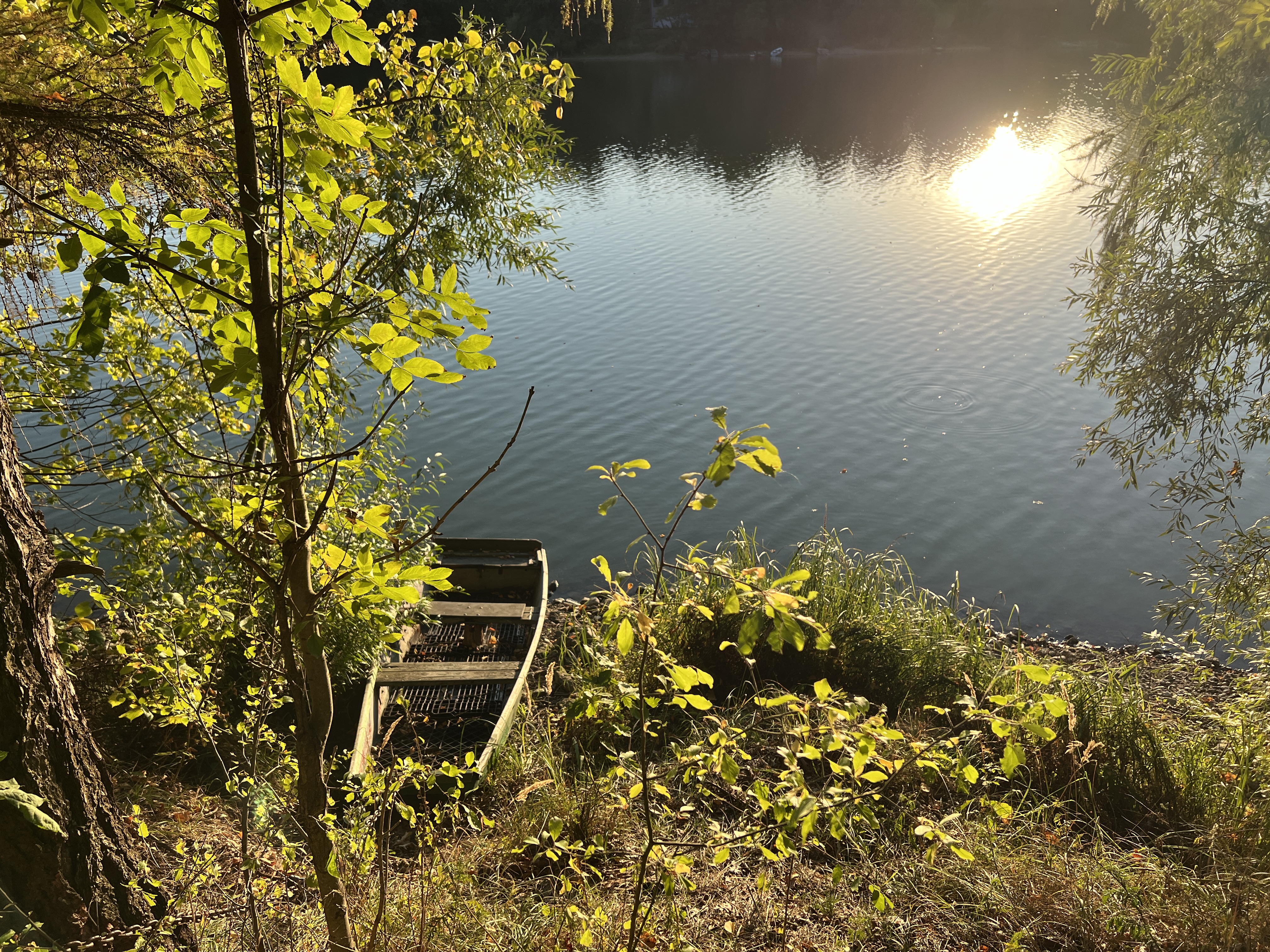 abandoned boat by lake