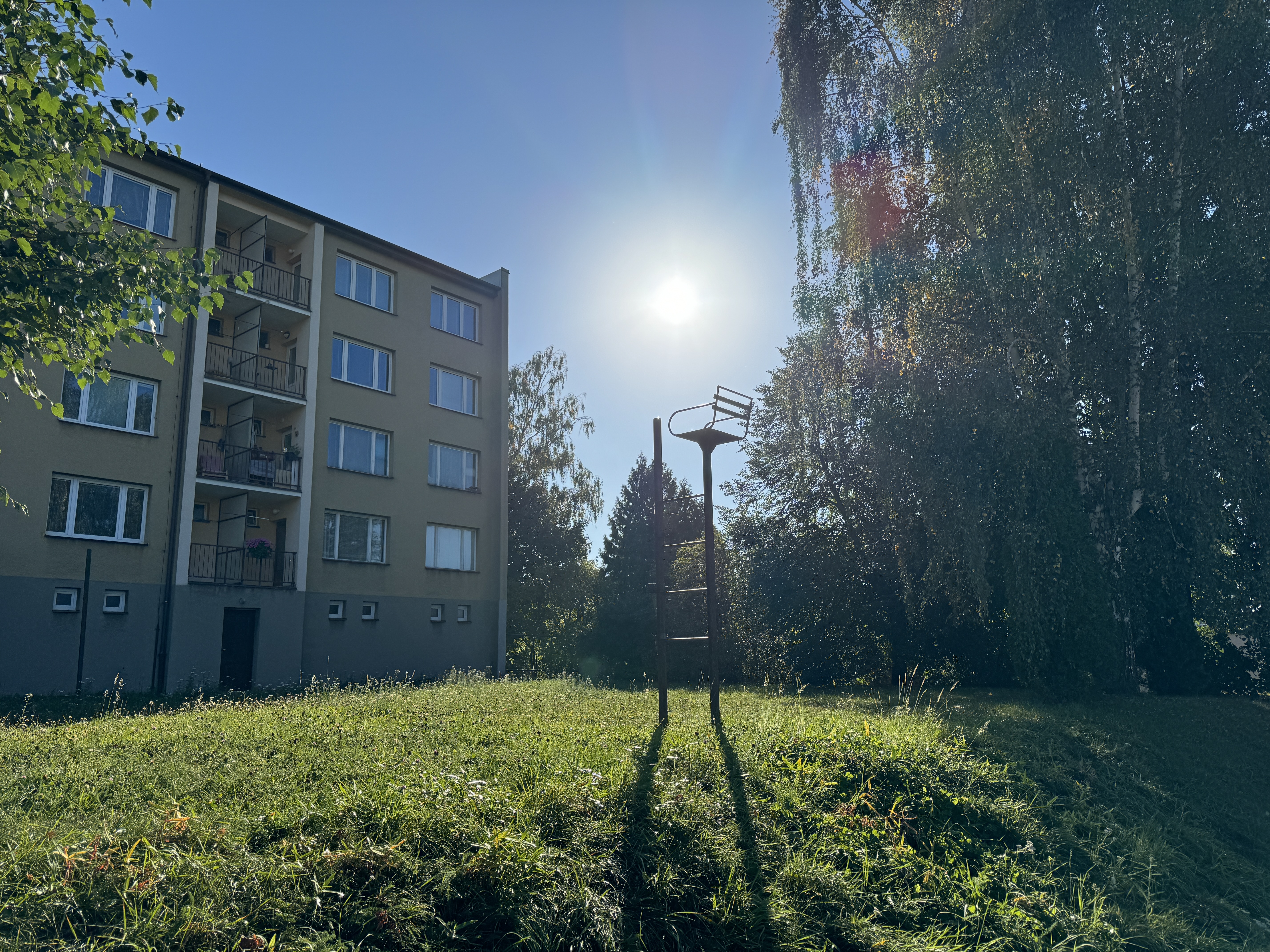 apartment building sunlight trees